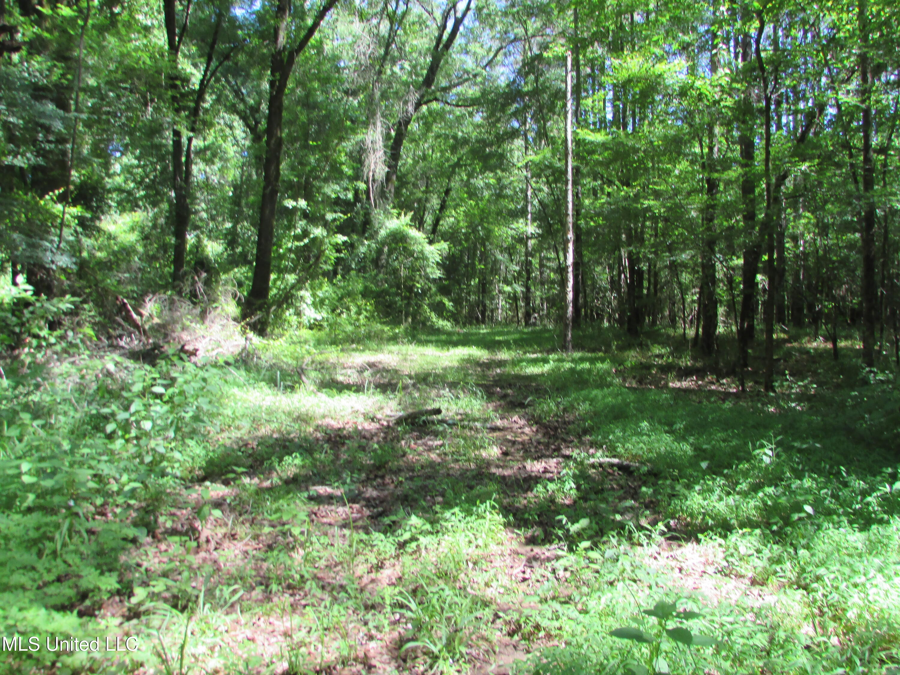 Vaughn Road & Bend Road Property Photo 4