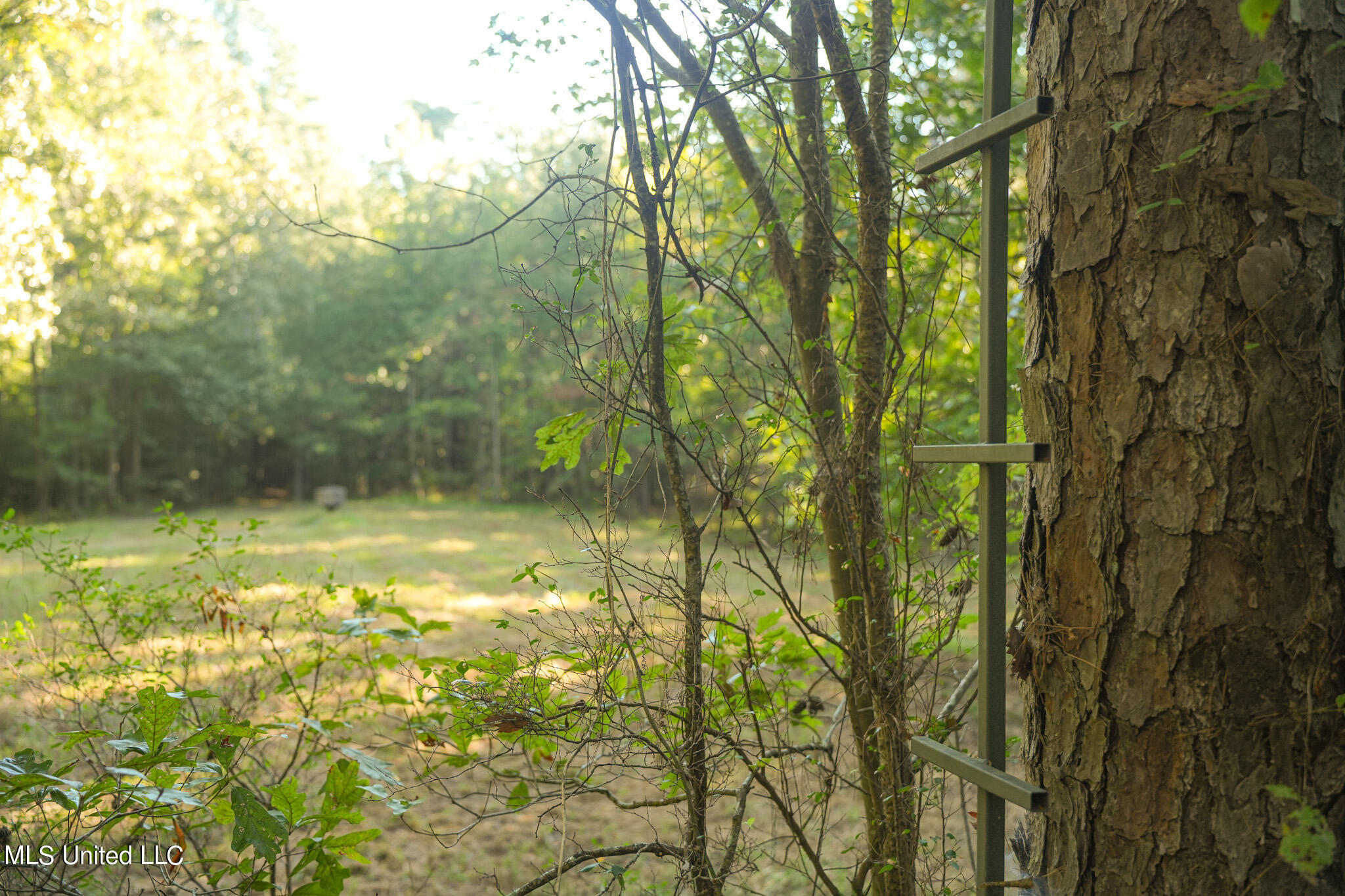 250 Rockwood Road Property Photo 43