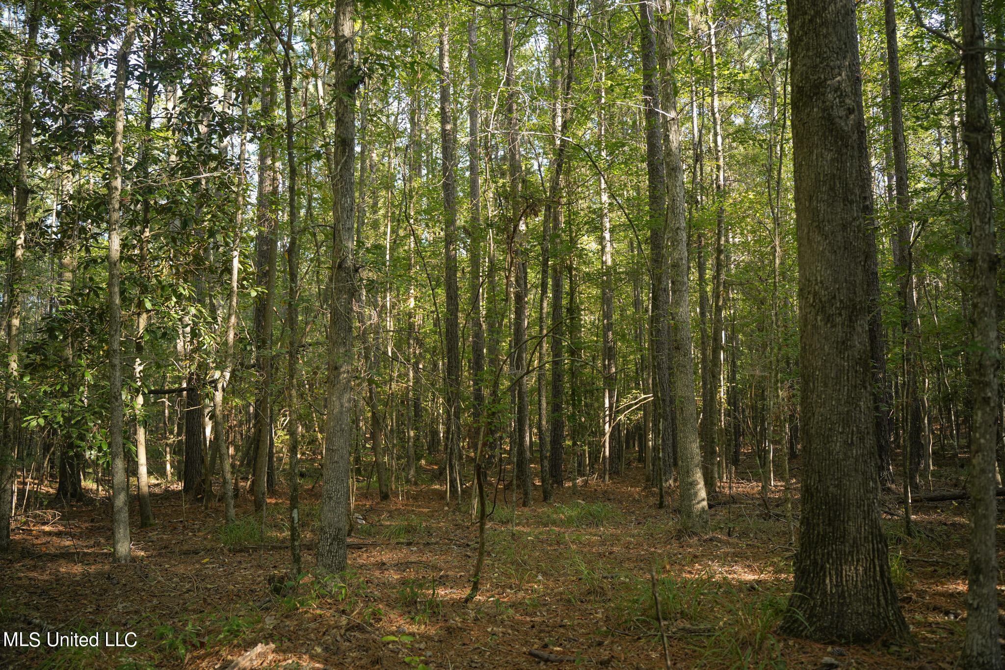 250 Rockwood Road Property Photo 66