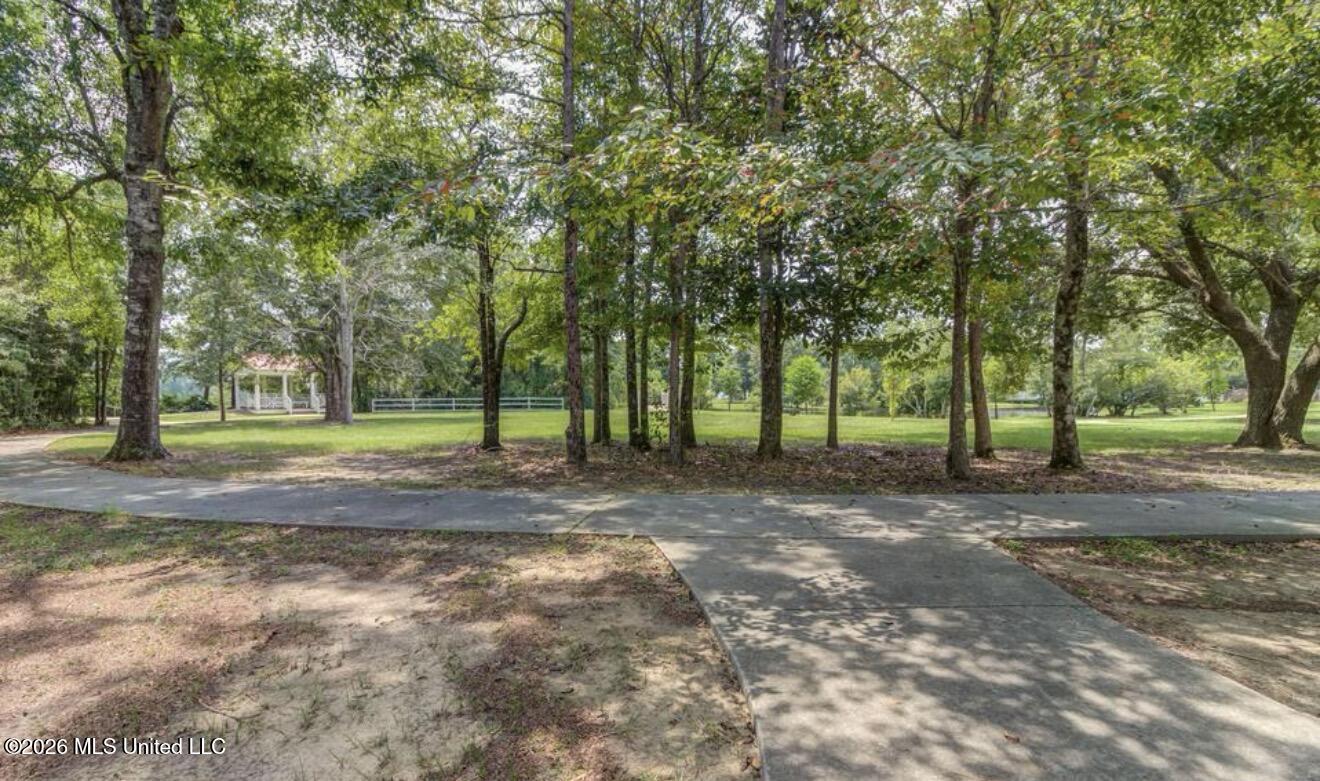 11102 Alphabet Road Property Photo 85