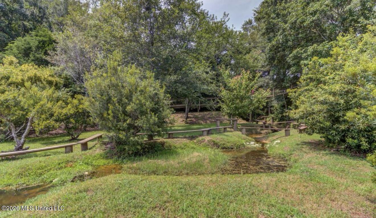 11102 Alphabet Road Property Photo 89