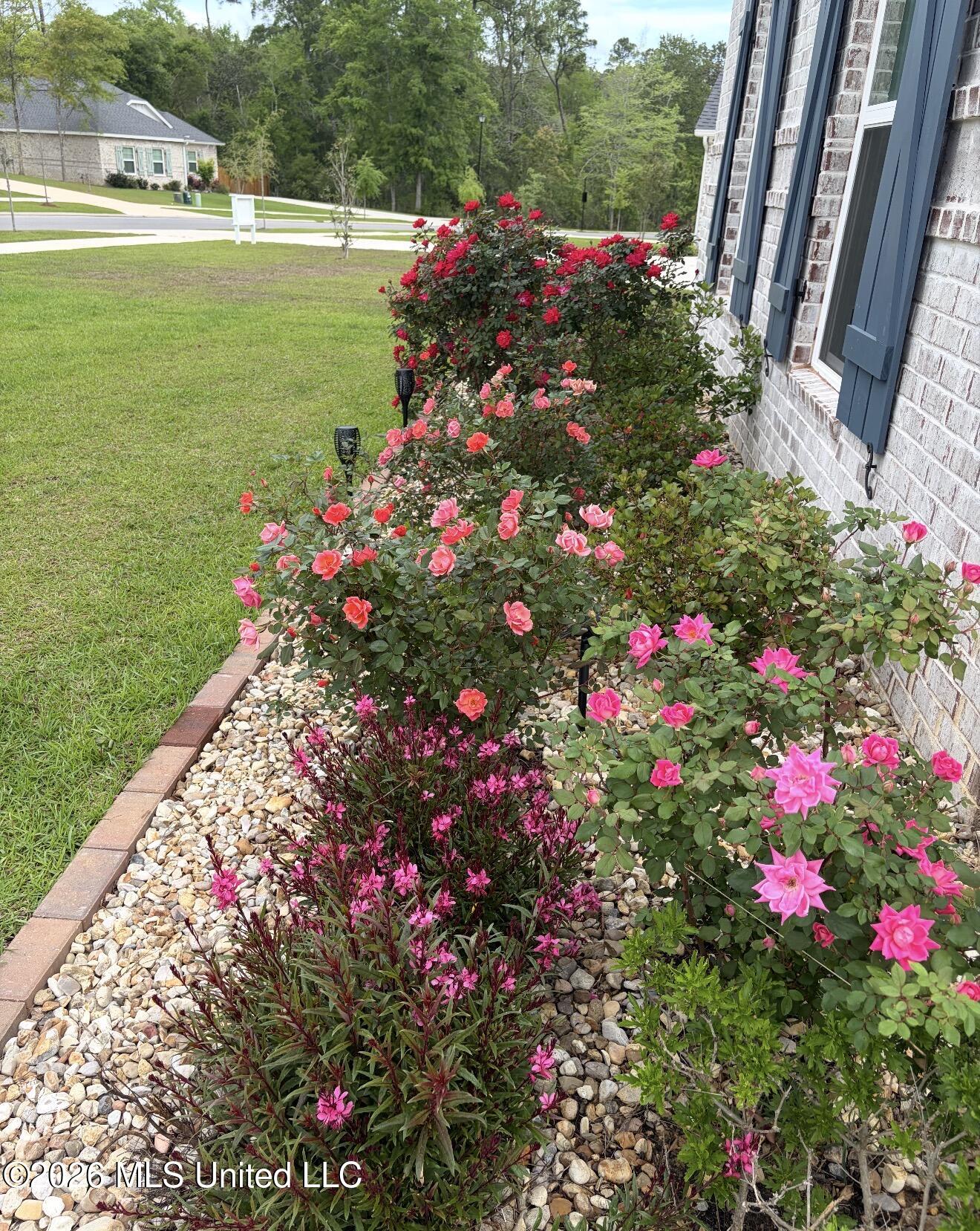 11102 Alphabet Road Property Photo 100