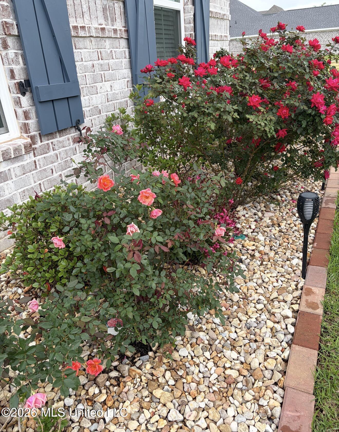 11102 Alphabet Road Property Photo 101