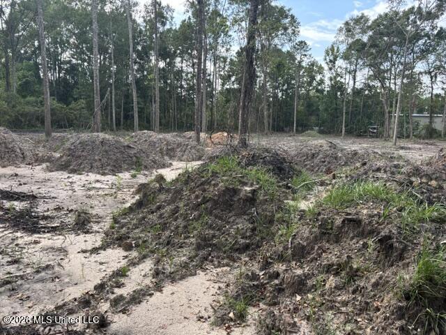 Martin Bluff Road Property Photo 2