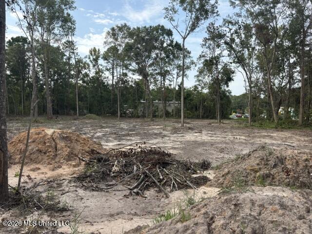 Martin Bluff Road Property Photo 3