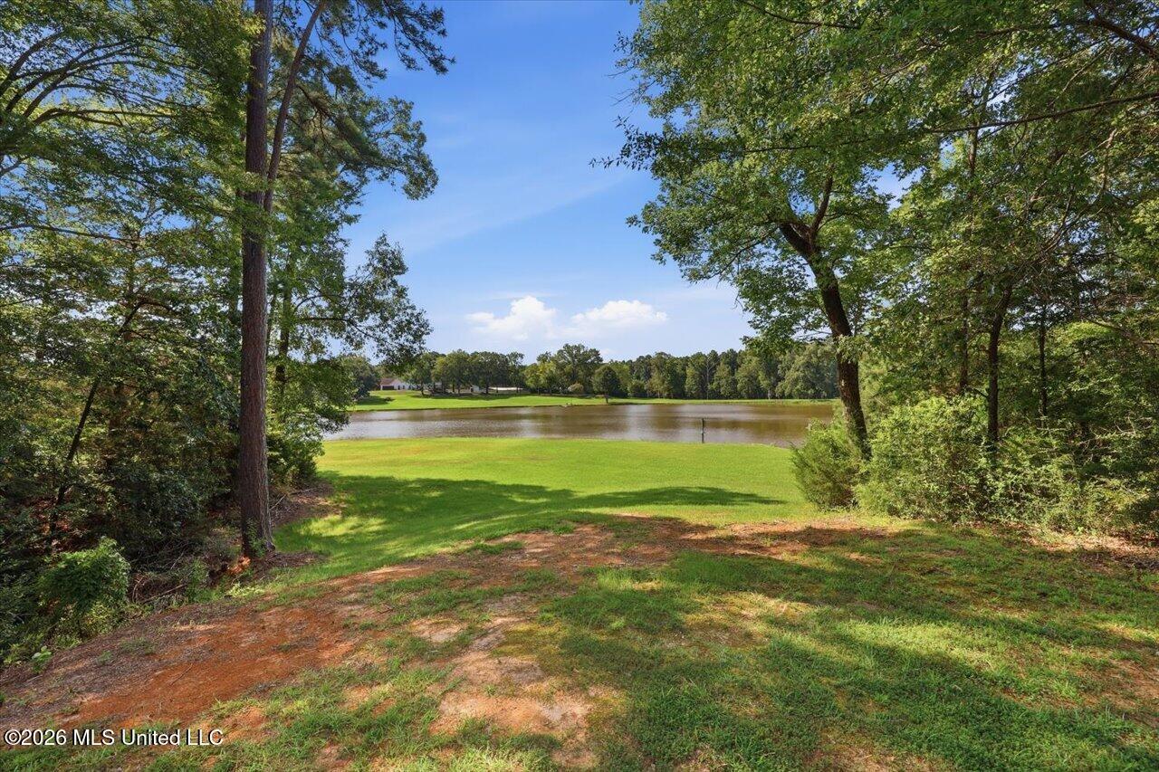143 Dominion Parkway Property Photo 43