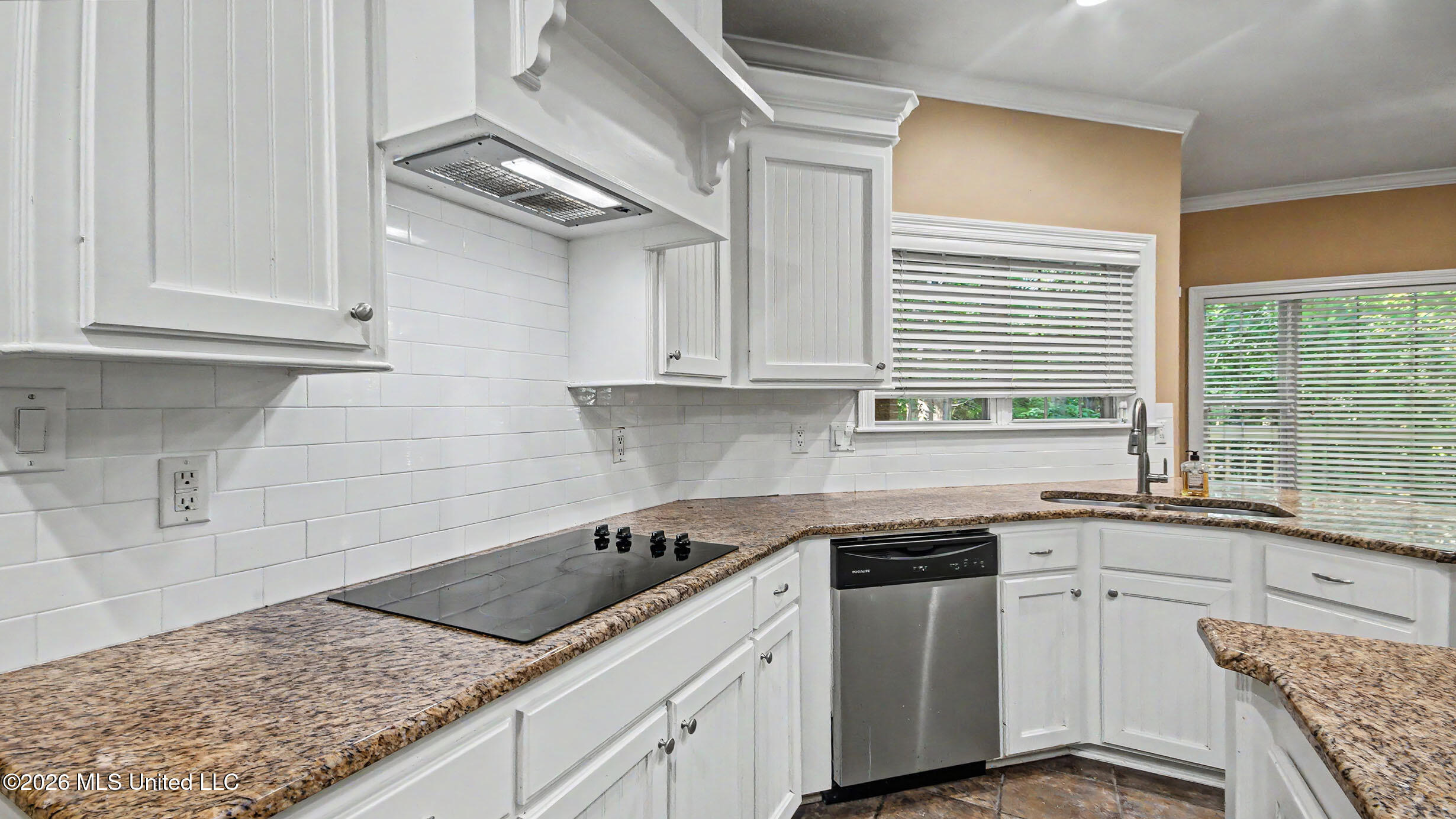664 Spring Lake Drive Property Photo 14