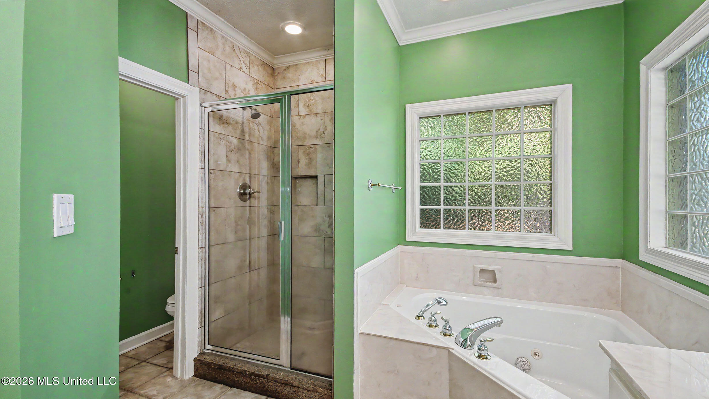 664 Spring Lake Drive Property Photo 24