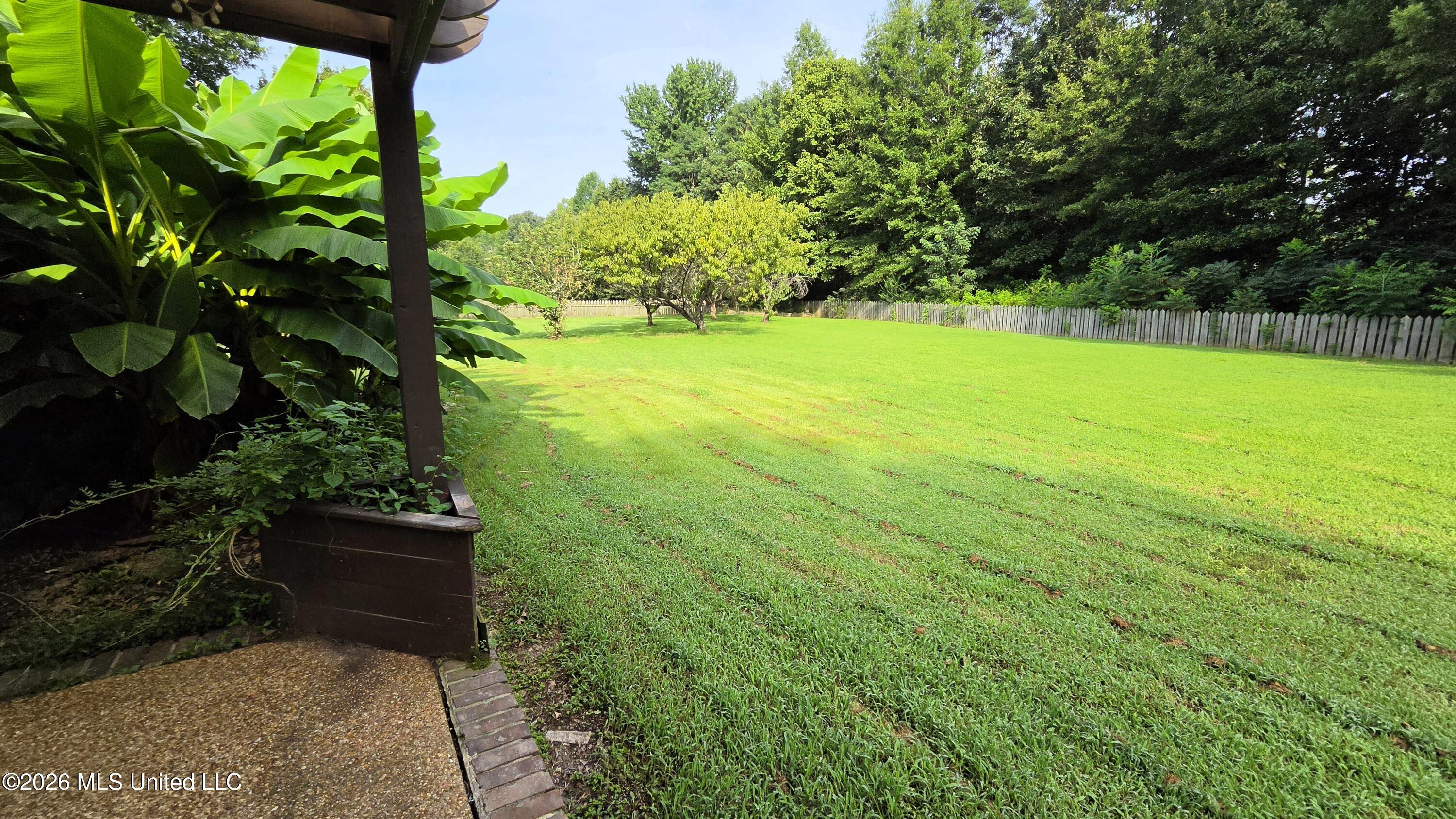 85 Lee Creek Cove Property Photo 19