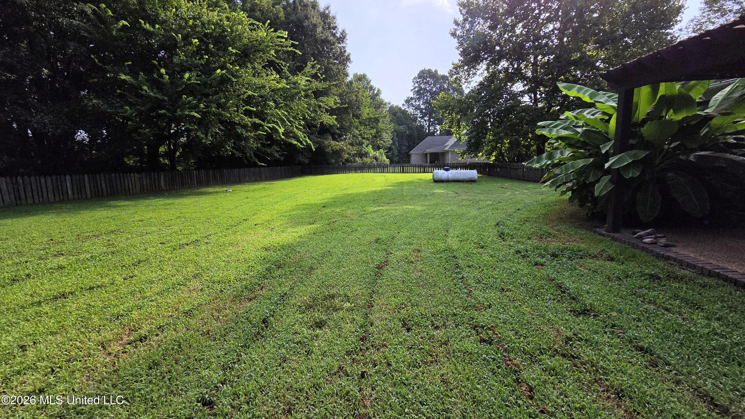 85 Lee Creek Cove Property Photo 20