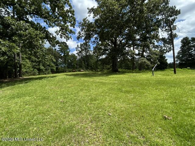 74209 Wyndotte Road Property Photo 7