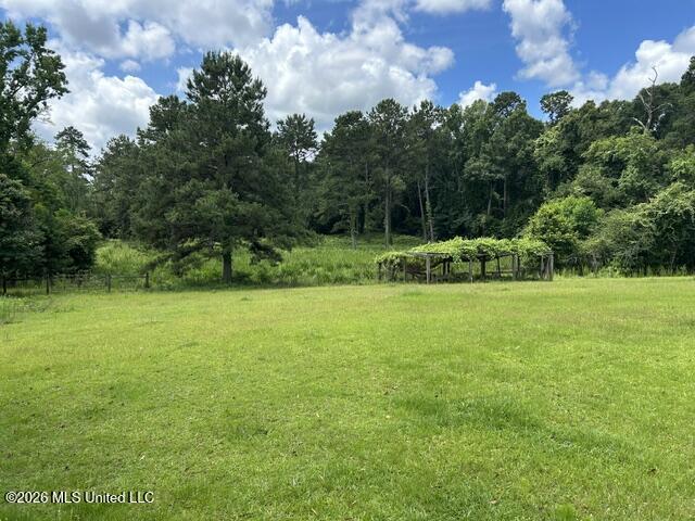 74209 Wyndotte Road Property Photo 31
