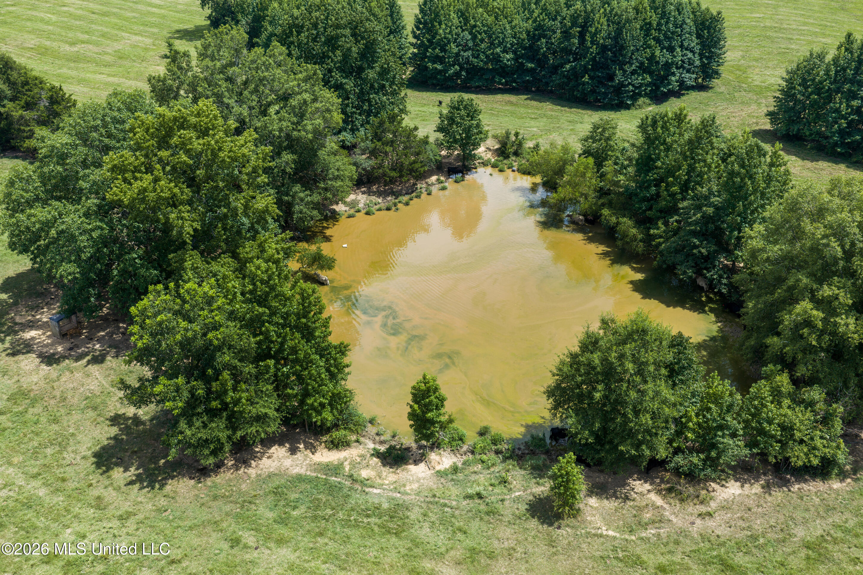 1000 Woolfolk Road Property Photo 10