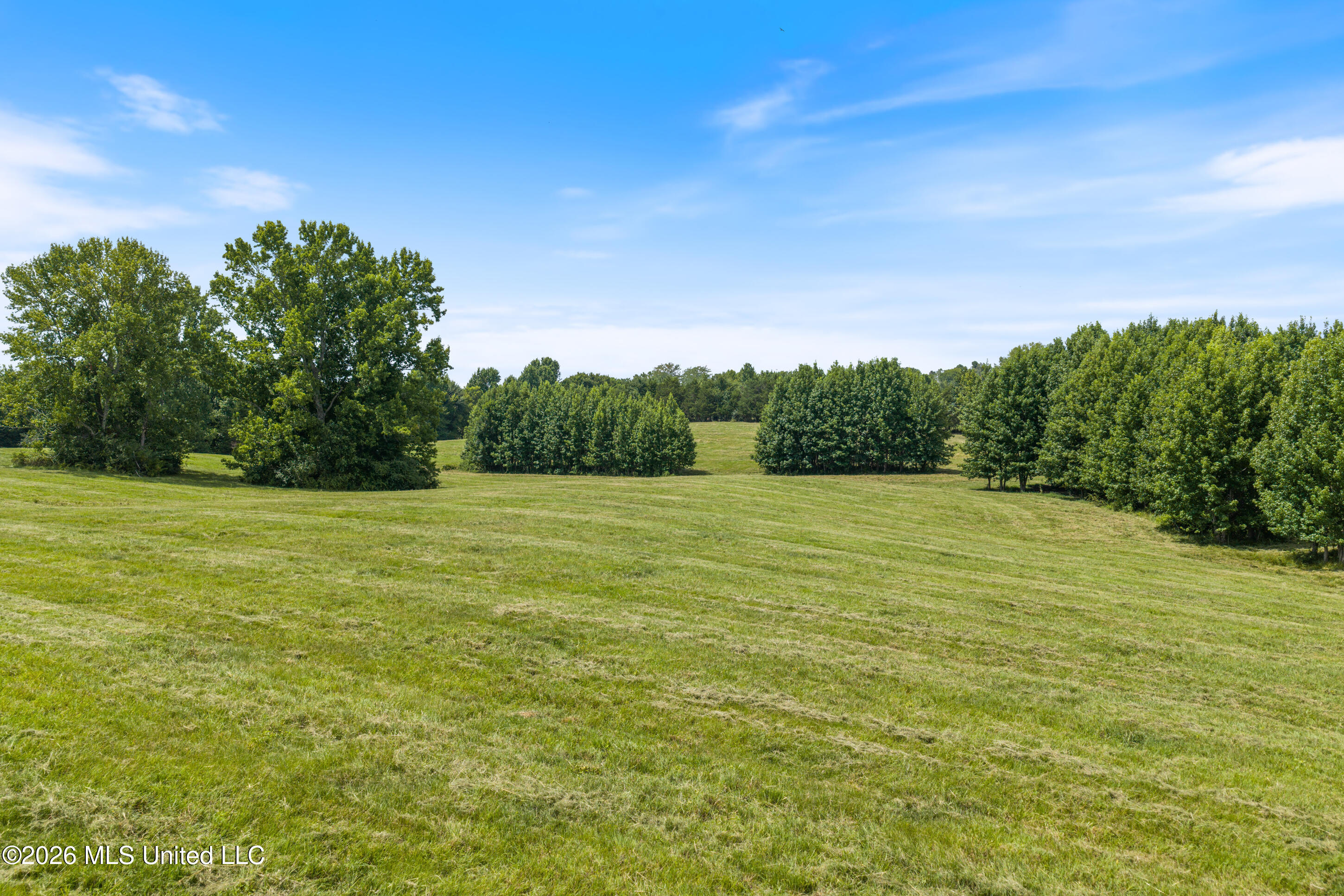 1000 Woolfolk Road Property Photo 16