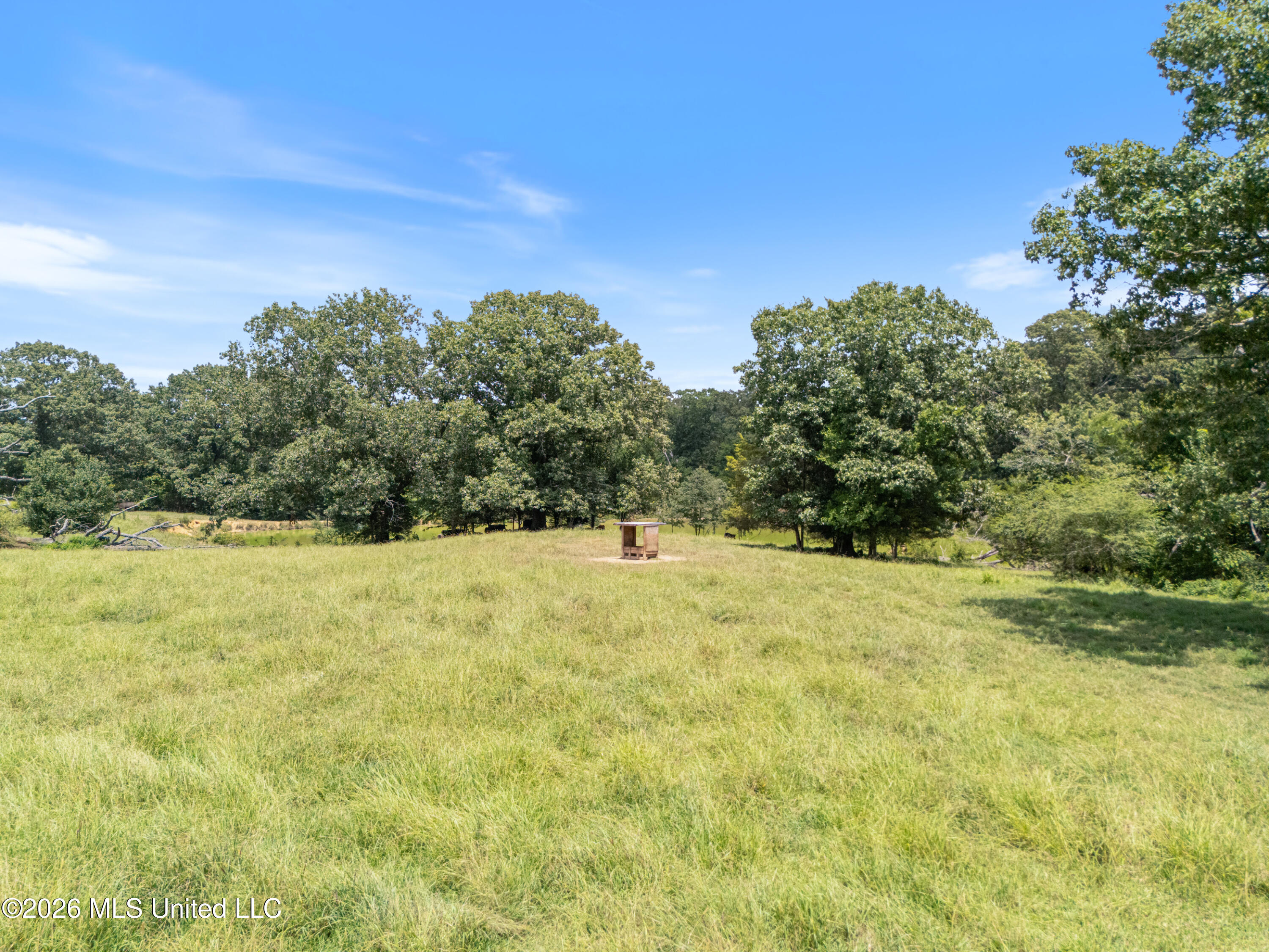 1150 Veazey Road Property Photo 20