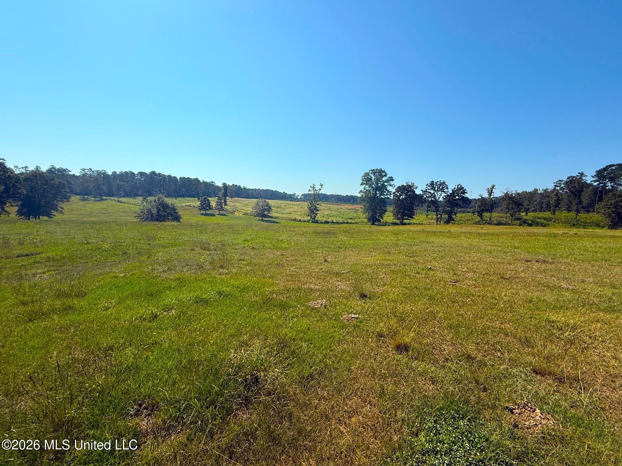 Fortenberry Circle Property Photo 5