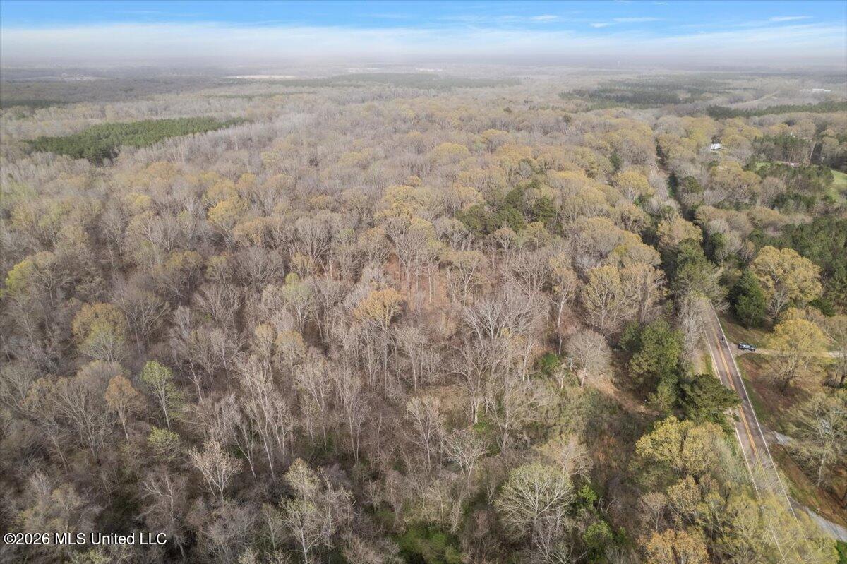 Hwy 433 Property Photo 3