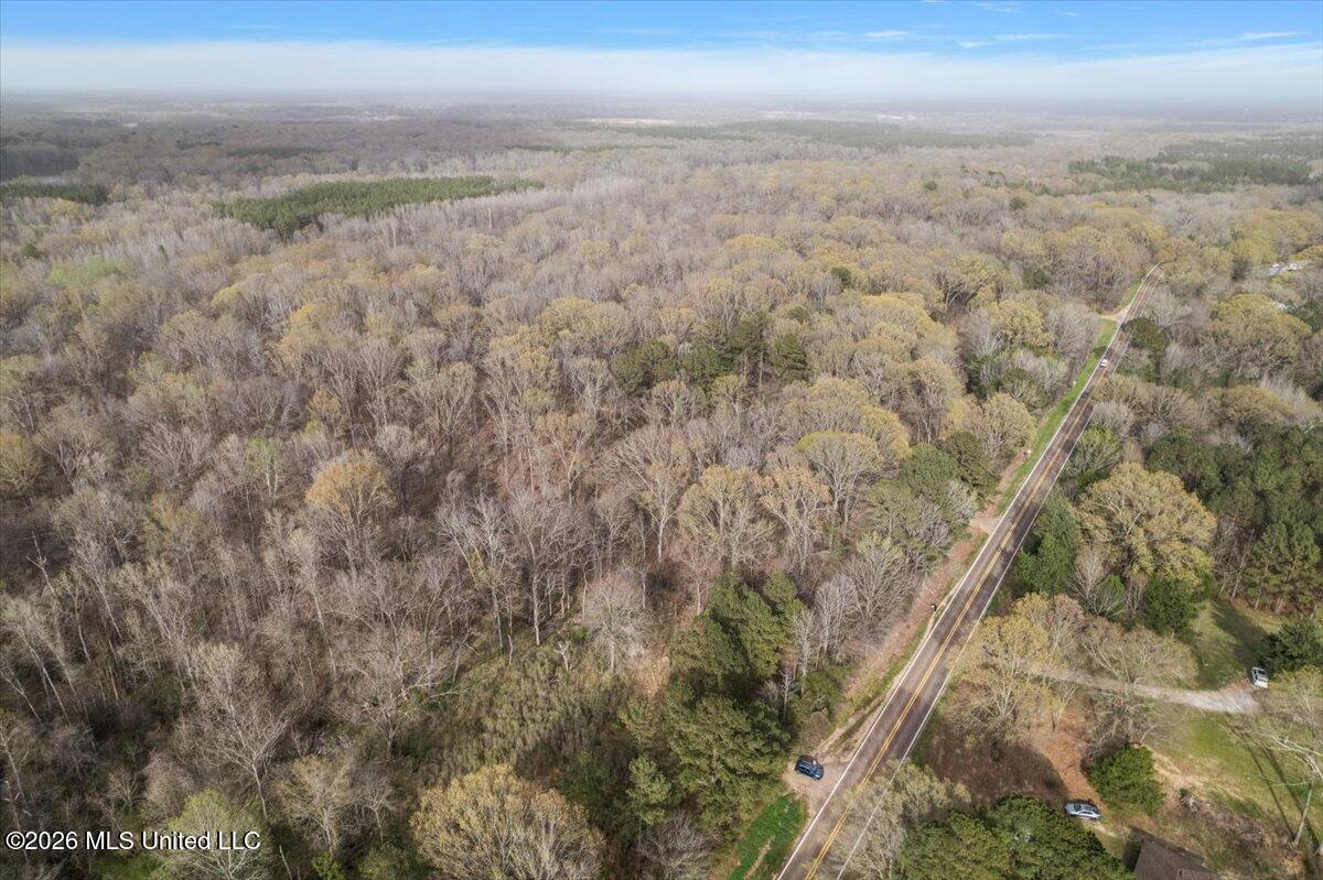 Hwy 433 Property Photo 5