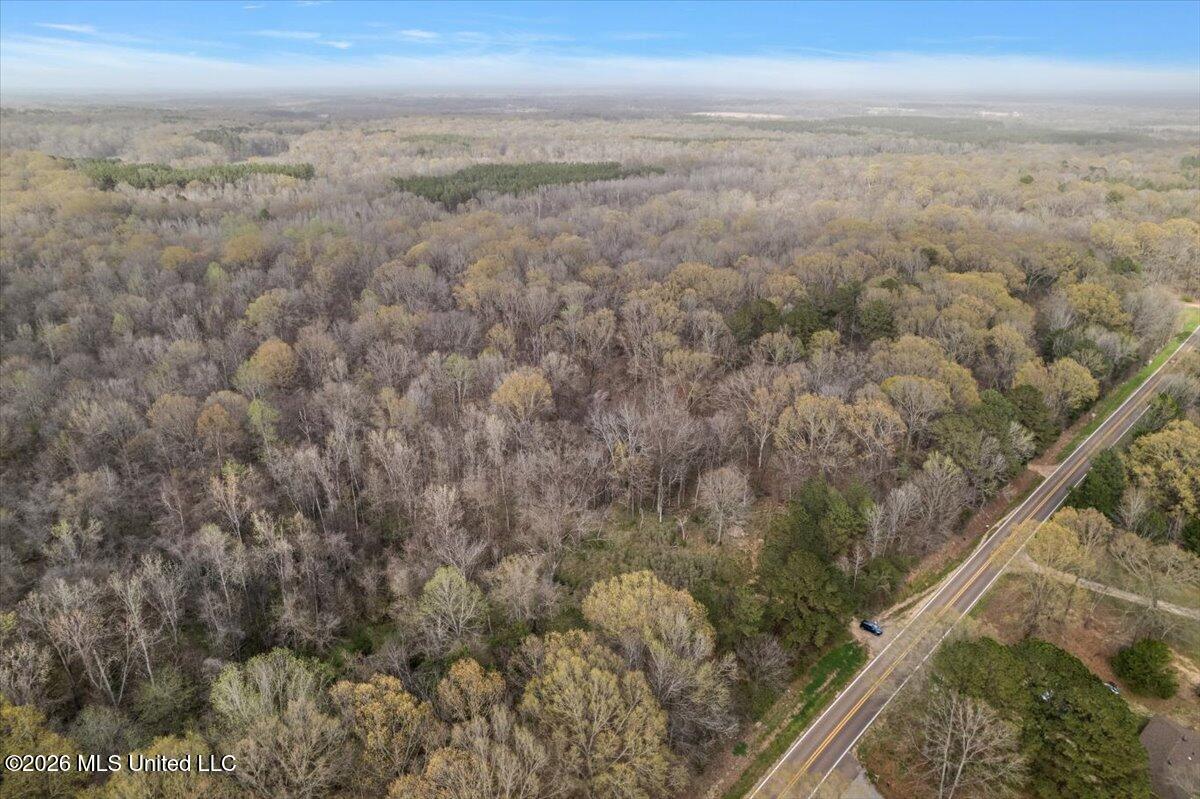 Hwy 433 Property Photo 7