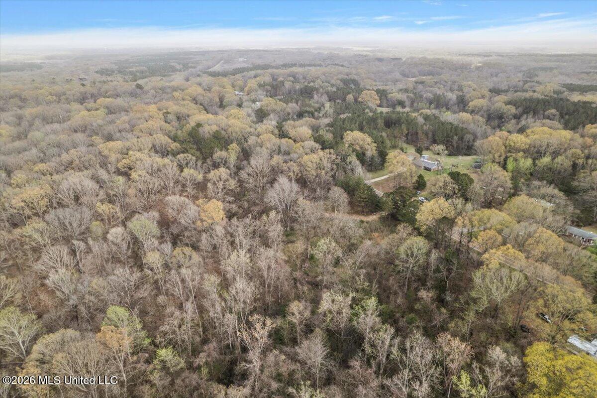 Hwy 433 Property Photo 10