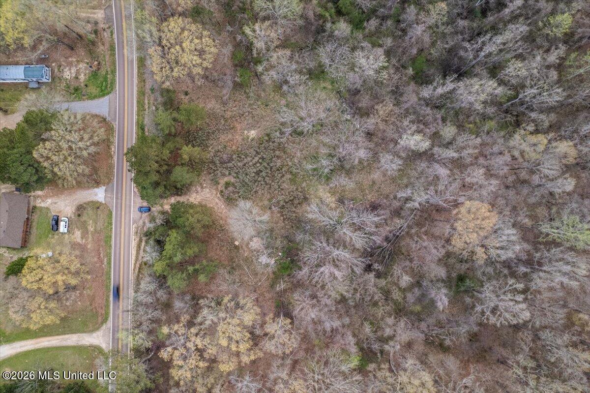 Hwy 433 Property Photo 11