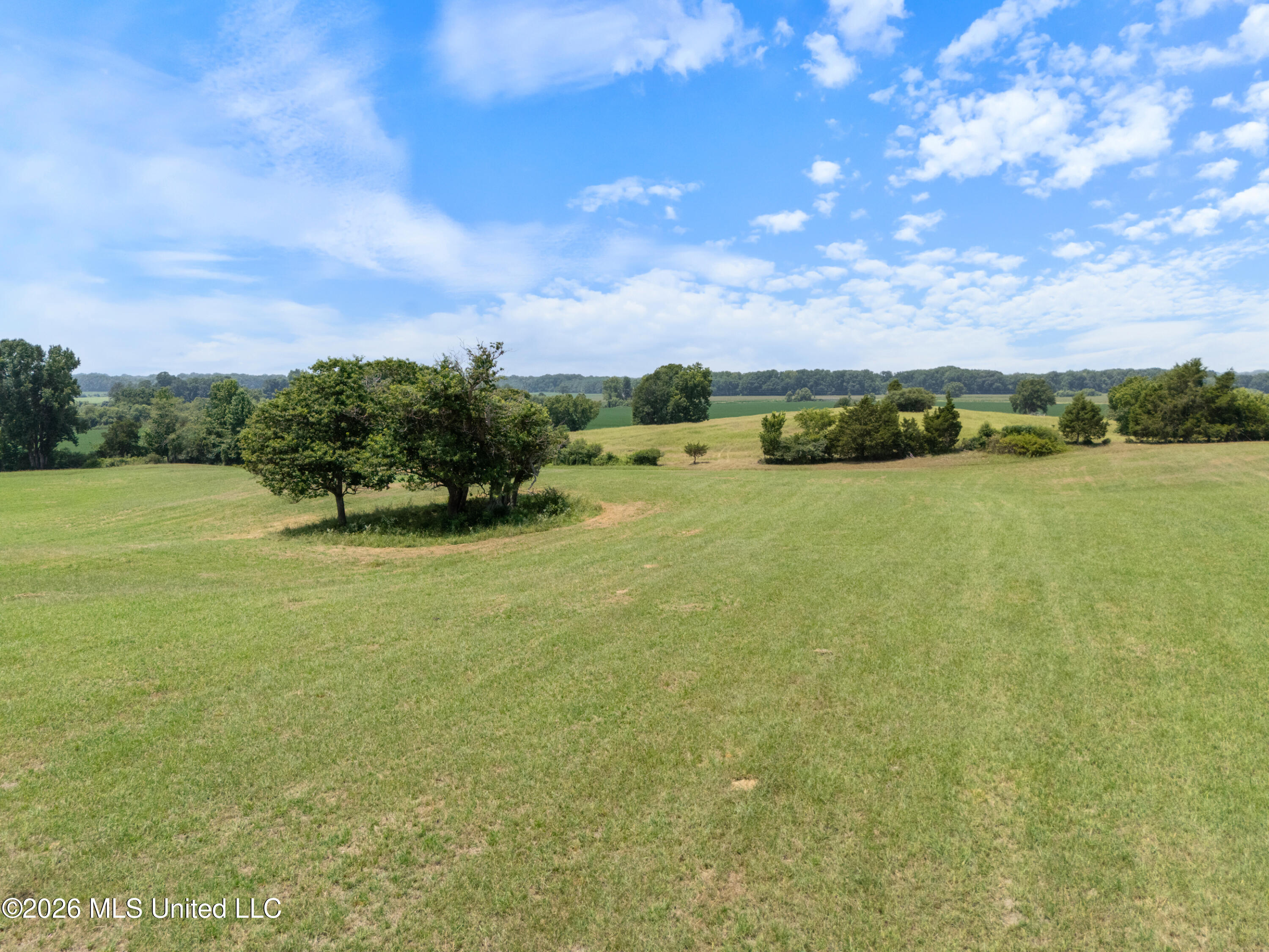 2300 Brownsferry Road Property Photo 7