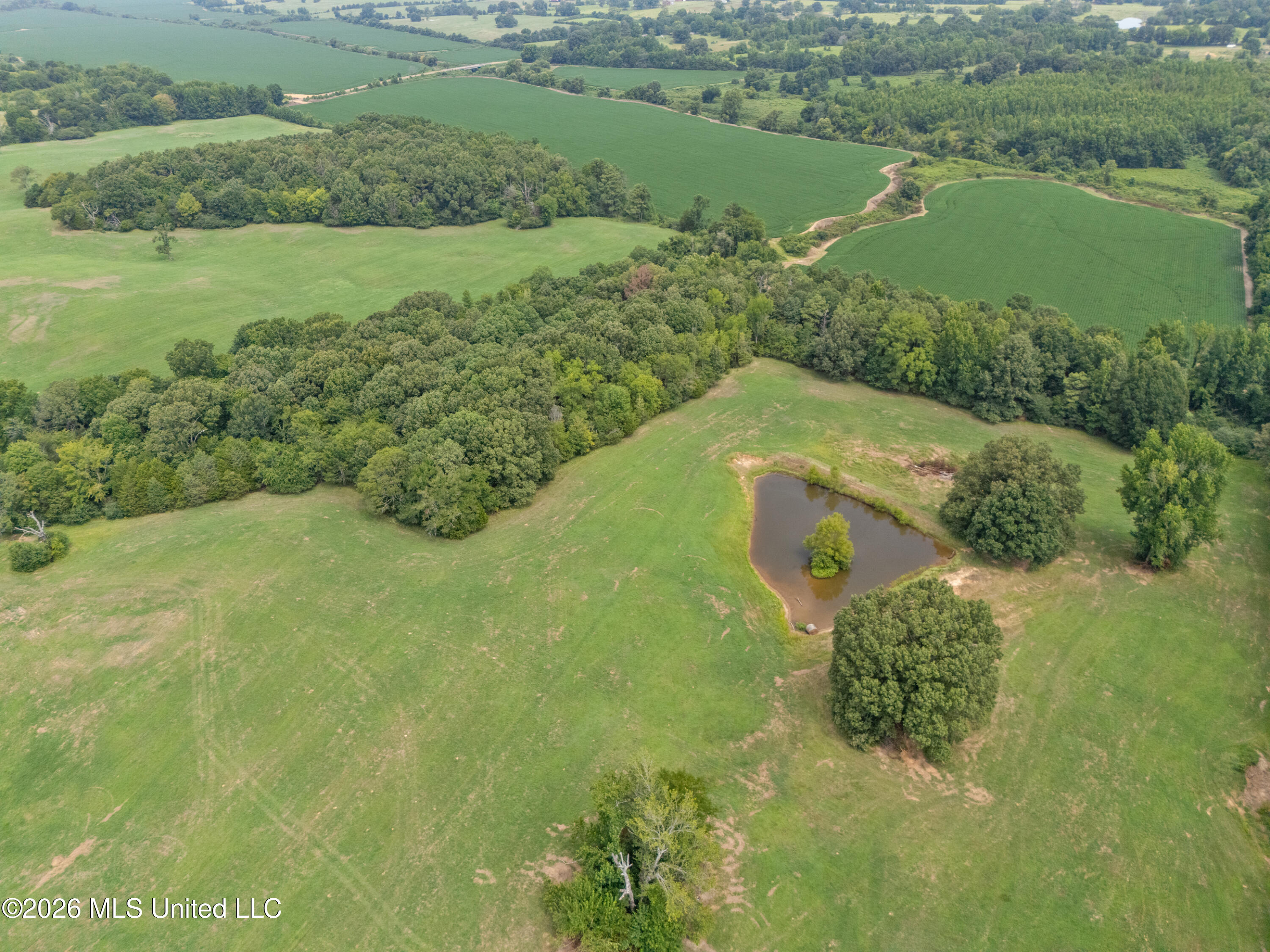 2300 Brownsferry Road Property Photo 14