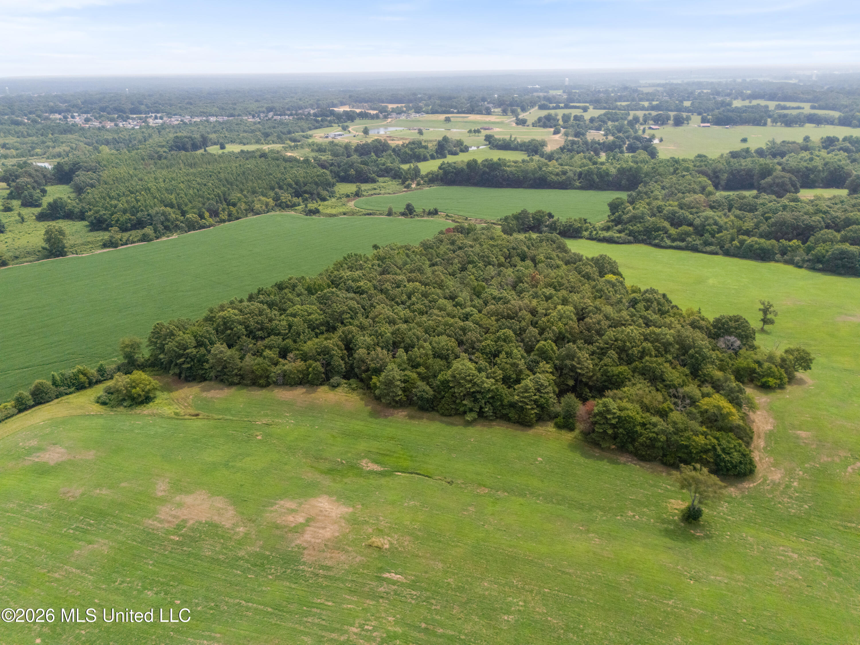 2300 Brownsferry Road Property Photo 19