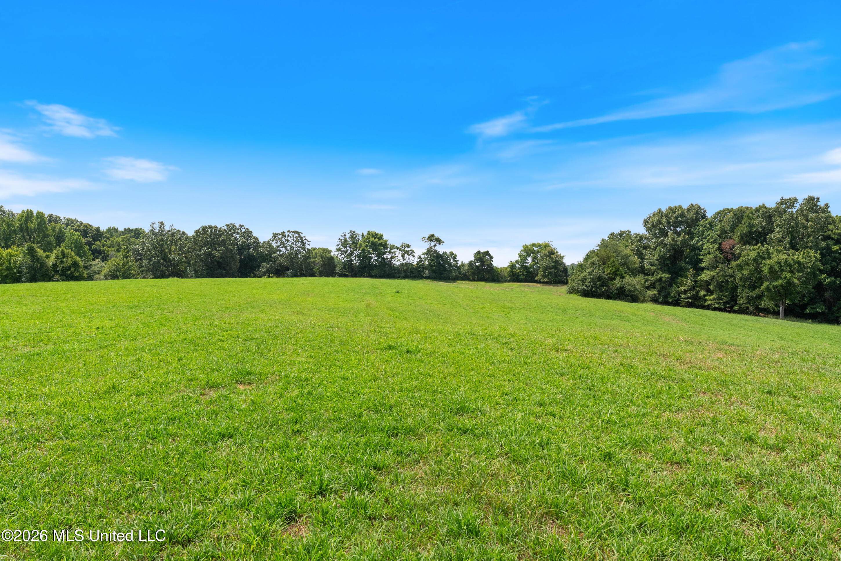 2300 Brownsferry Road Property Photo 27