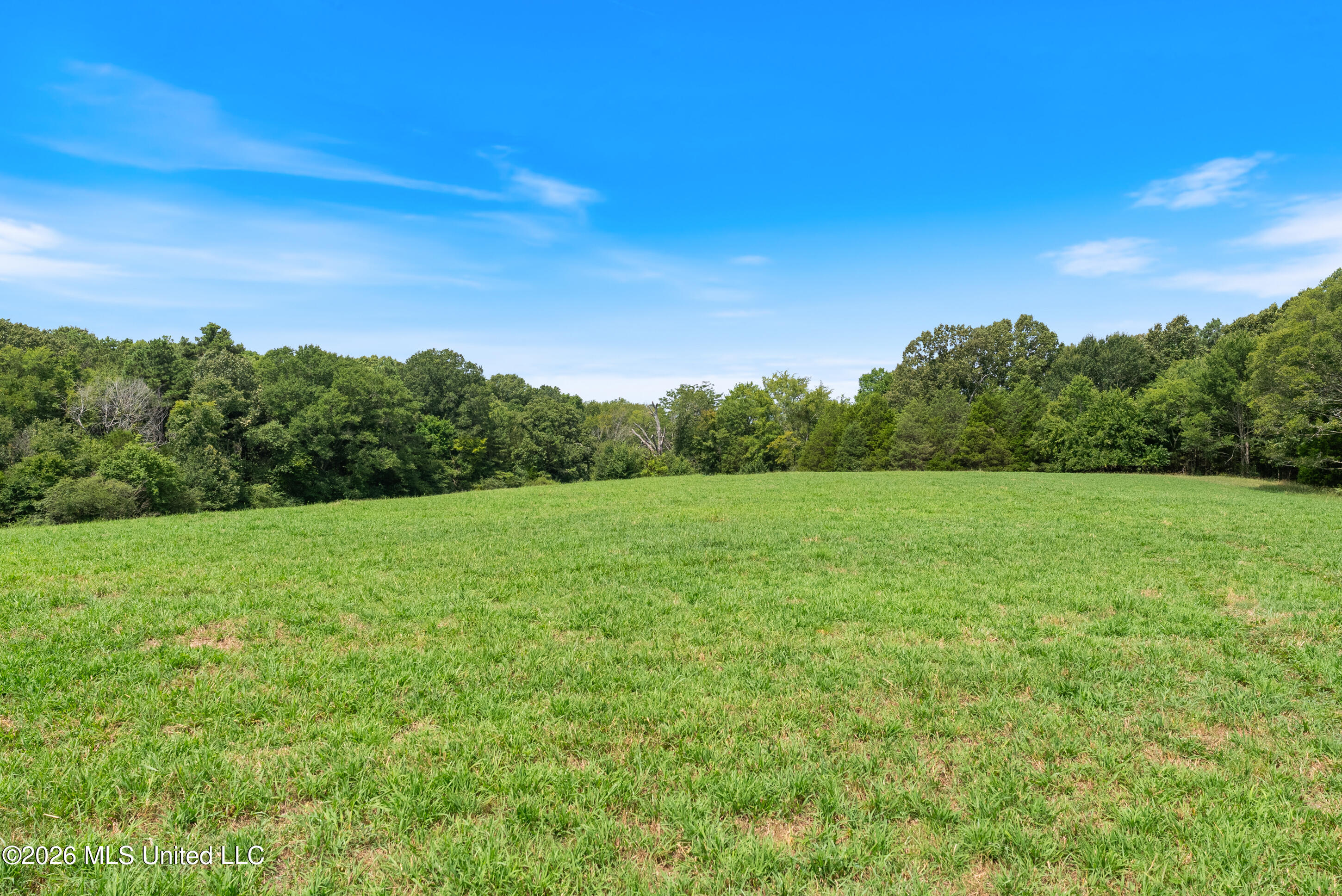 2300 Brownsferry Road Property Photo 28