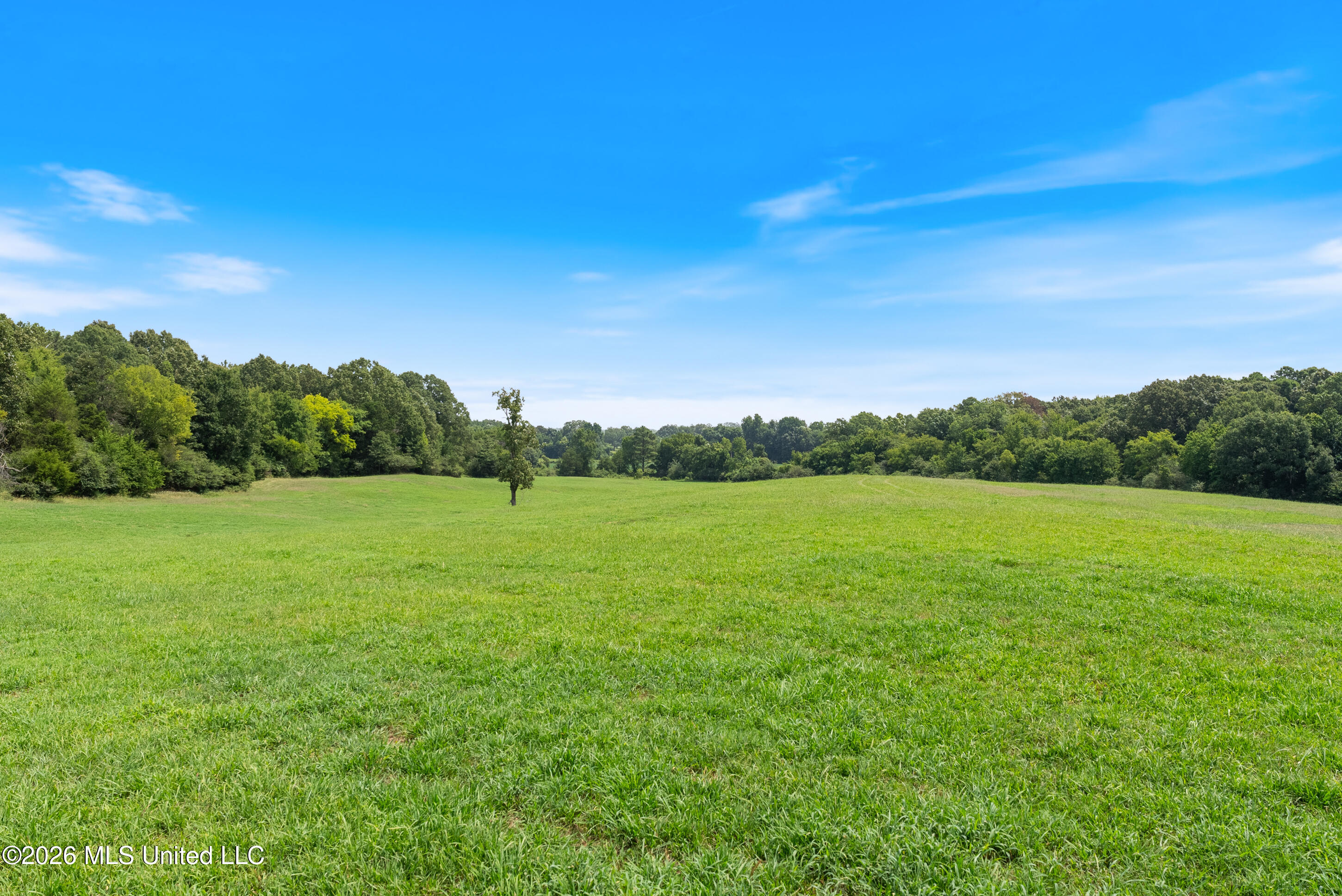 2300 Brownsferry Road Property Photo 32