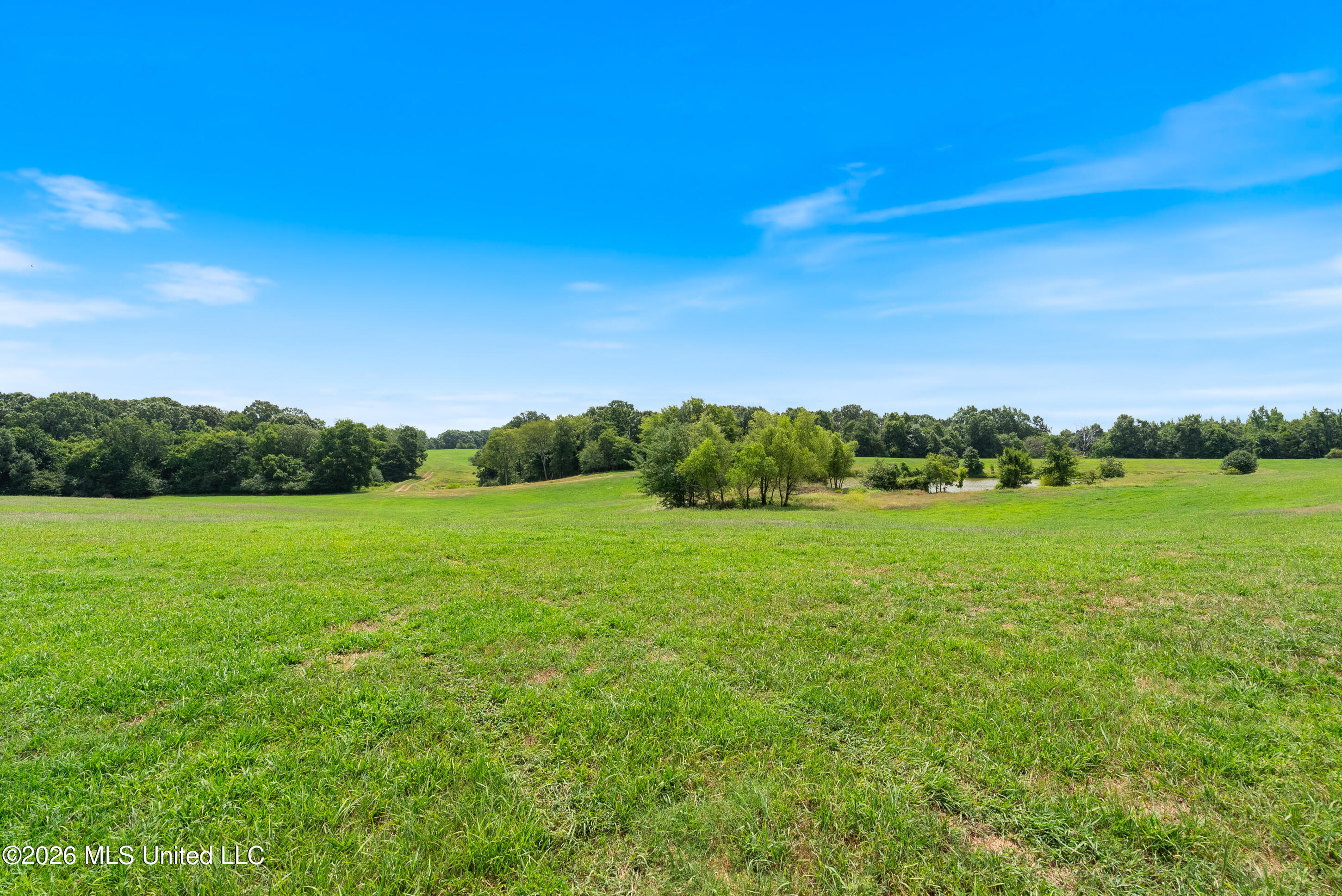 2300 Brownsferry Road Property Photo 34