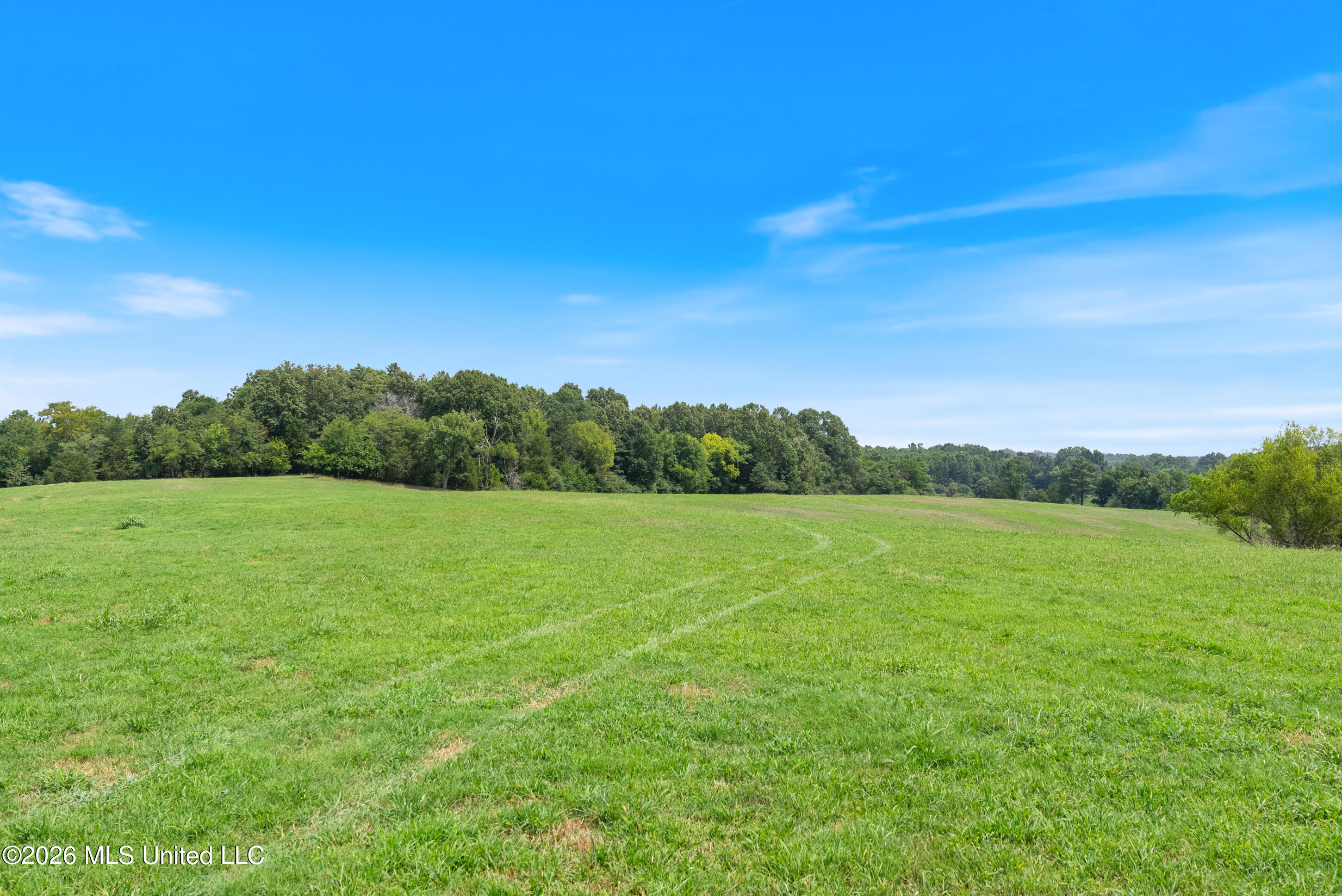 2300 Brownsferry Road Property Photo 37