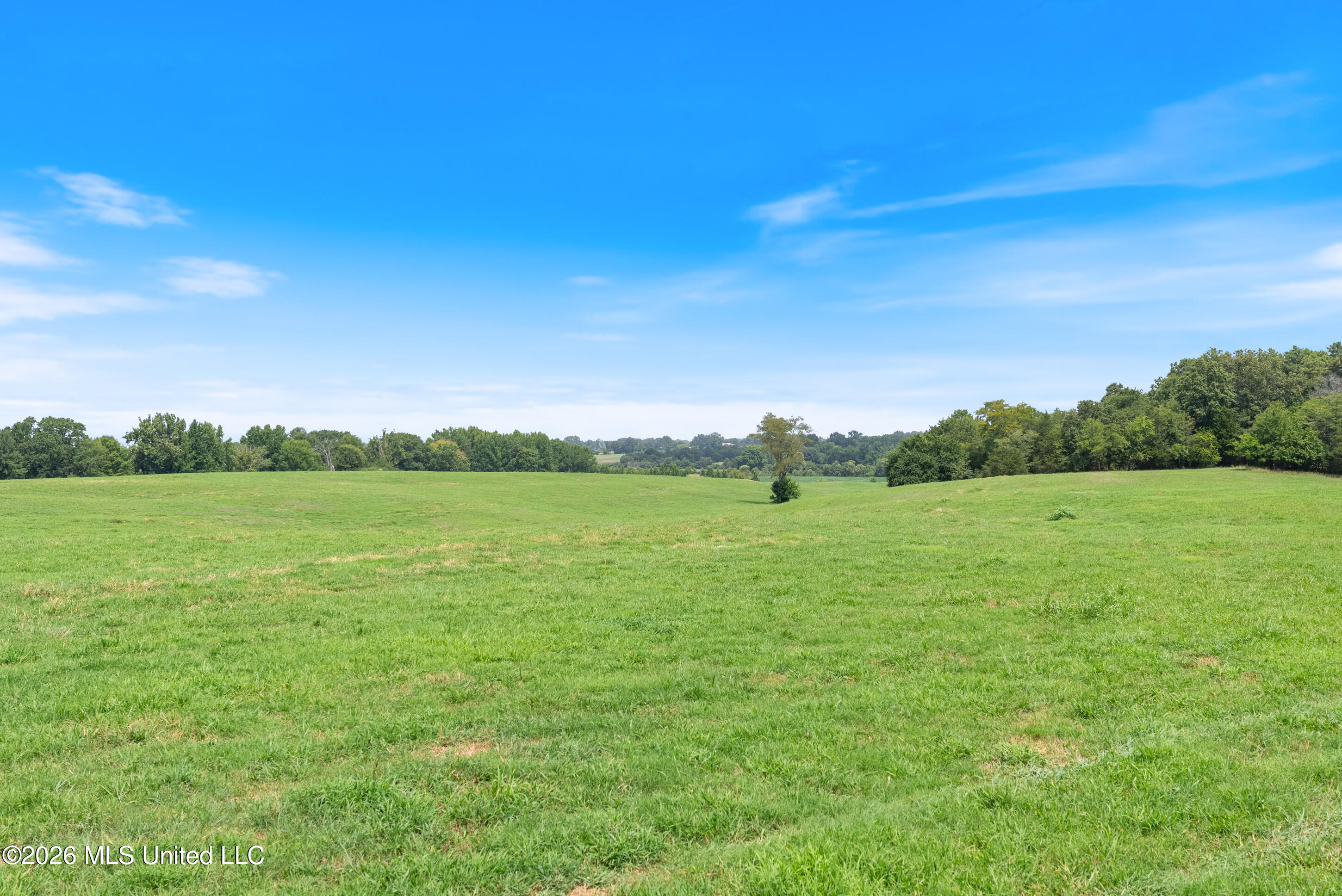 2300 Brownsferry Road Property Photo 38