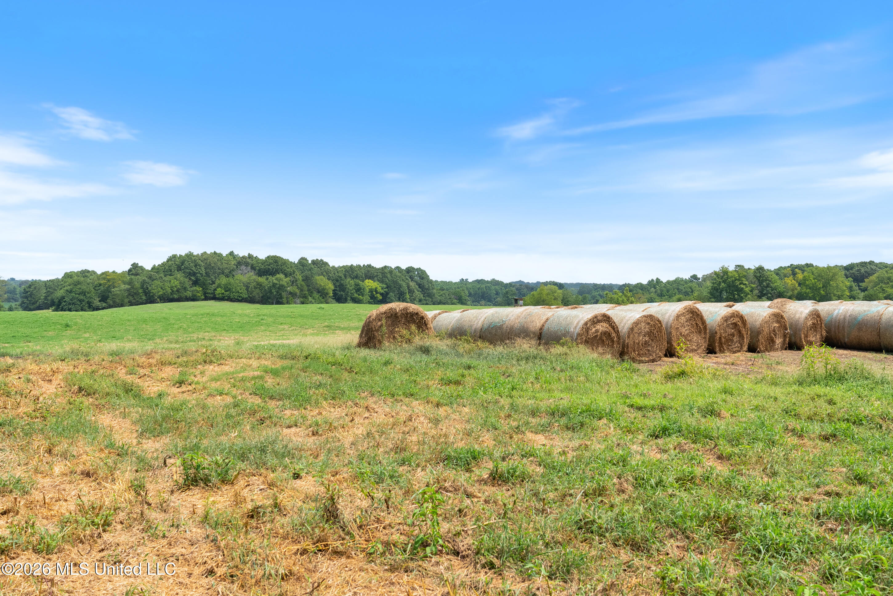 2300 Brownsferry Road Property Photo 41