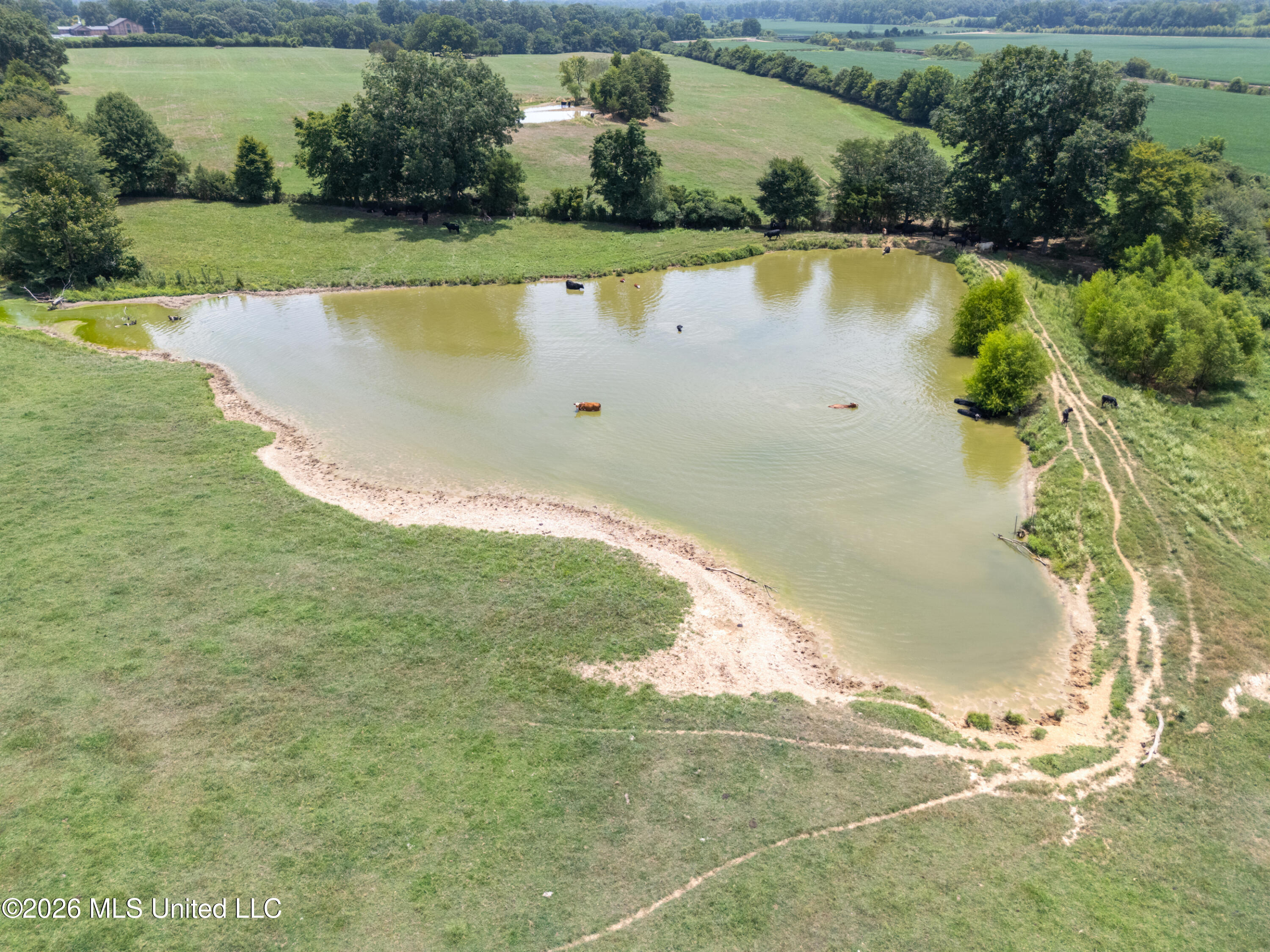 2300 Brownsferry Road Property Photo 54