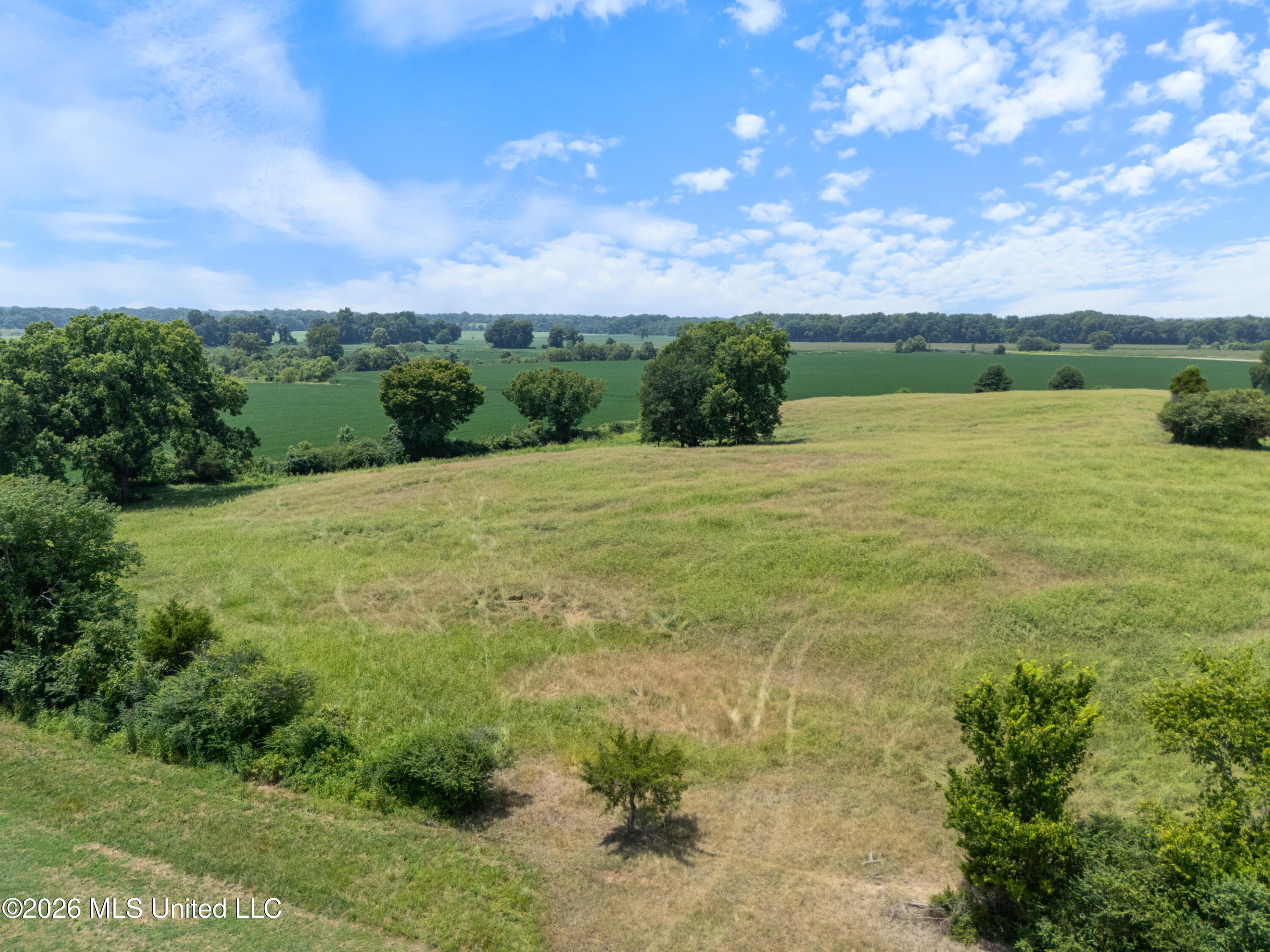 2300 Brownsferry Road Property Photo 60