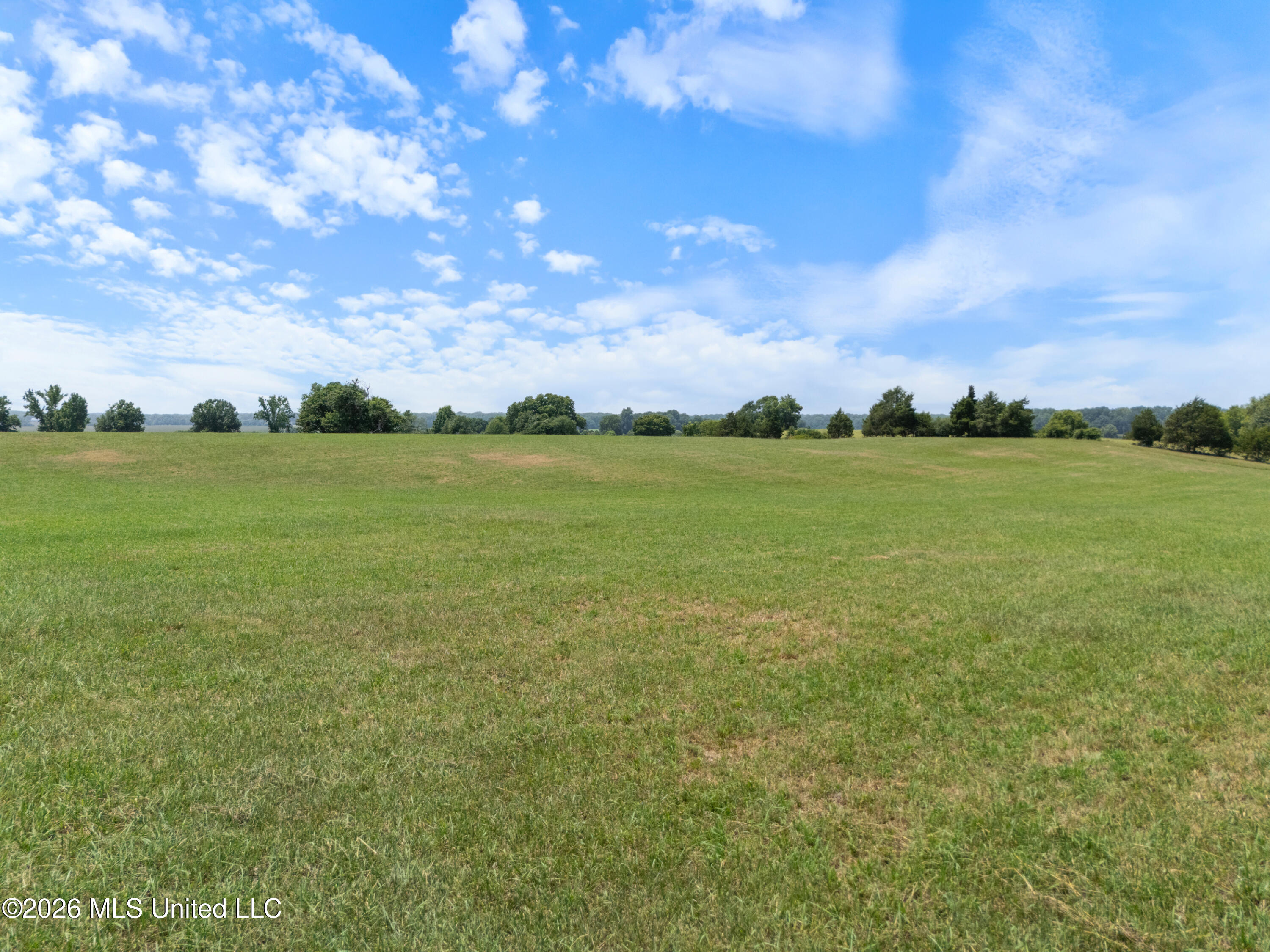 2300 Brownsferry Road Property Photo 63