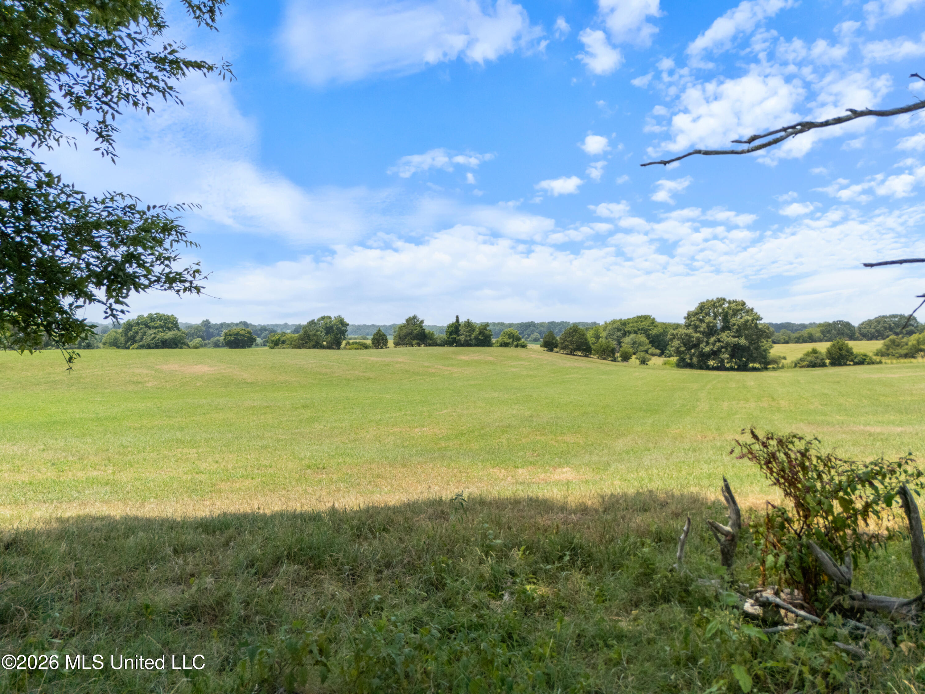 2300 Brownsferry Road Property Photo 64