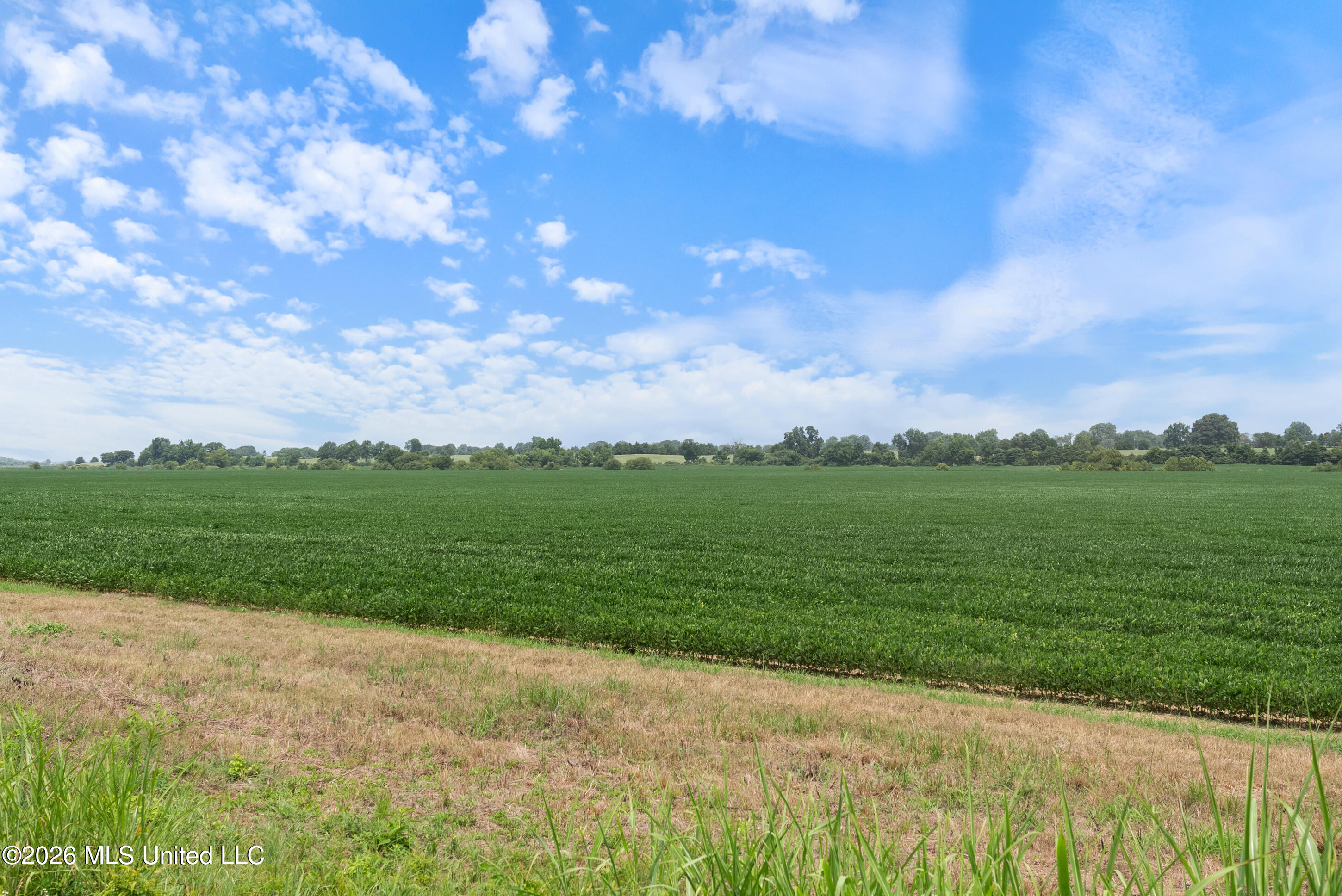 2300 Brownsferry Road Property Photo 66