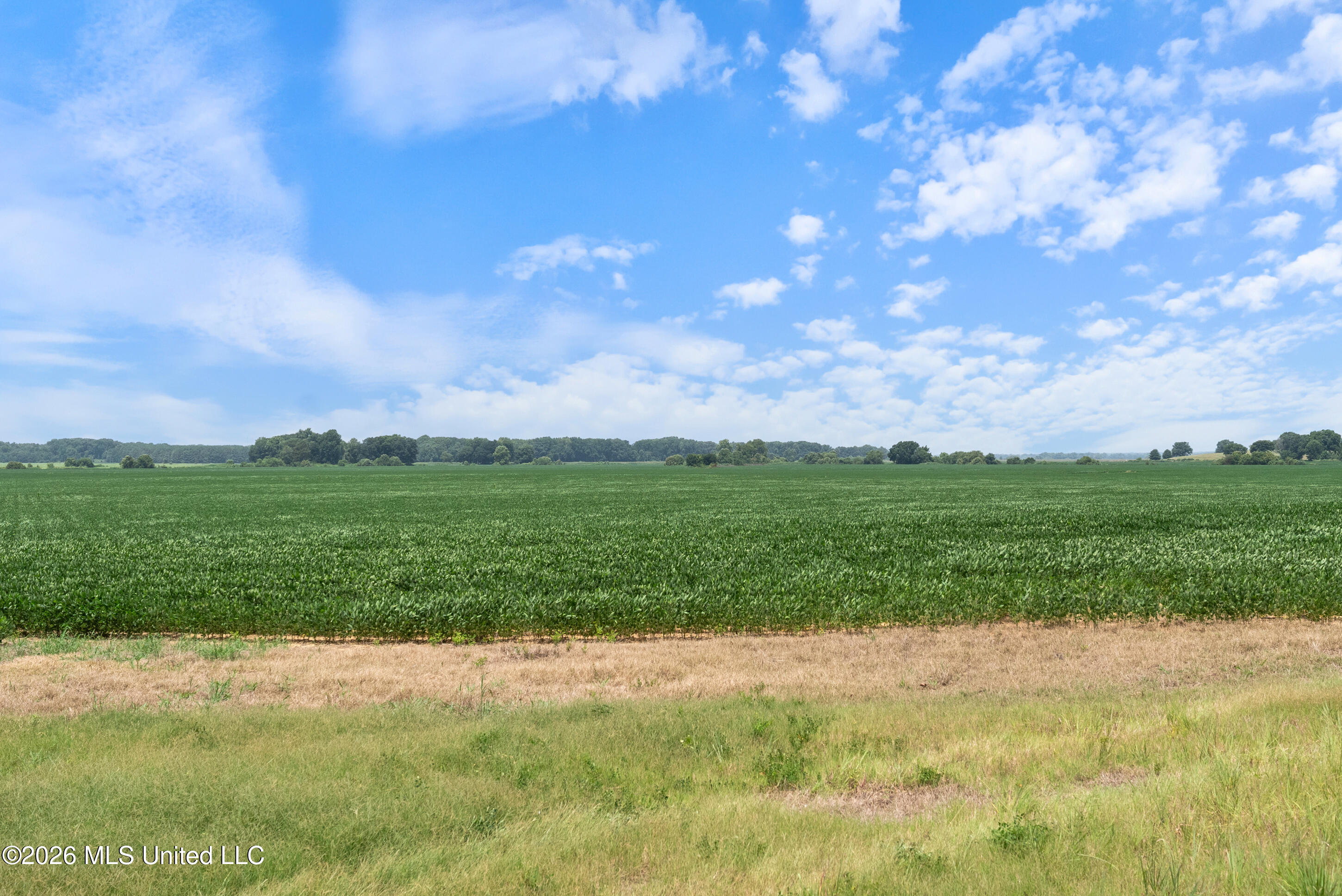 2300 Brownsferry Road Property Photo 67
