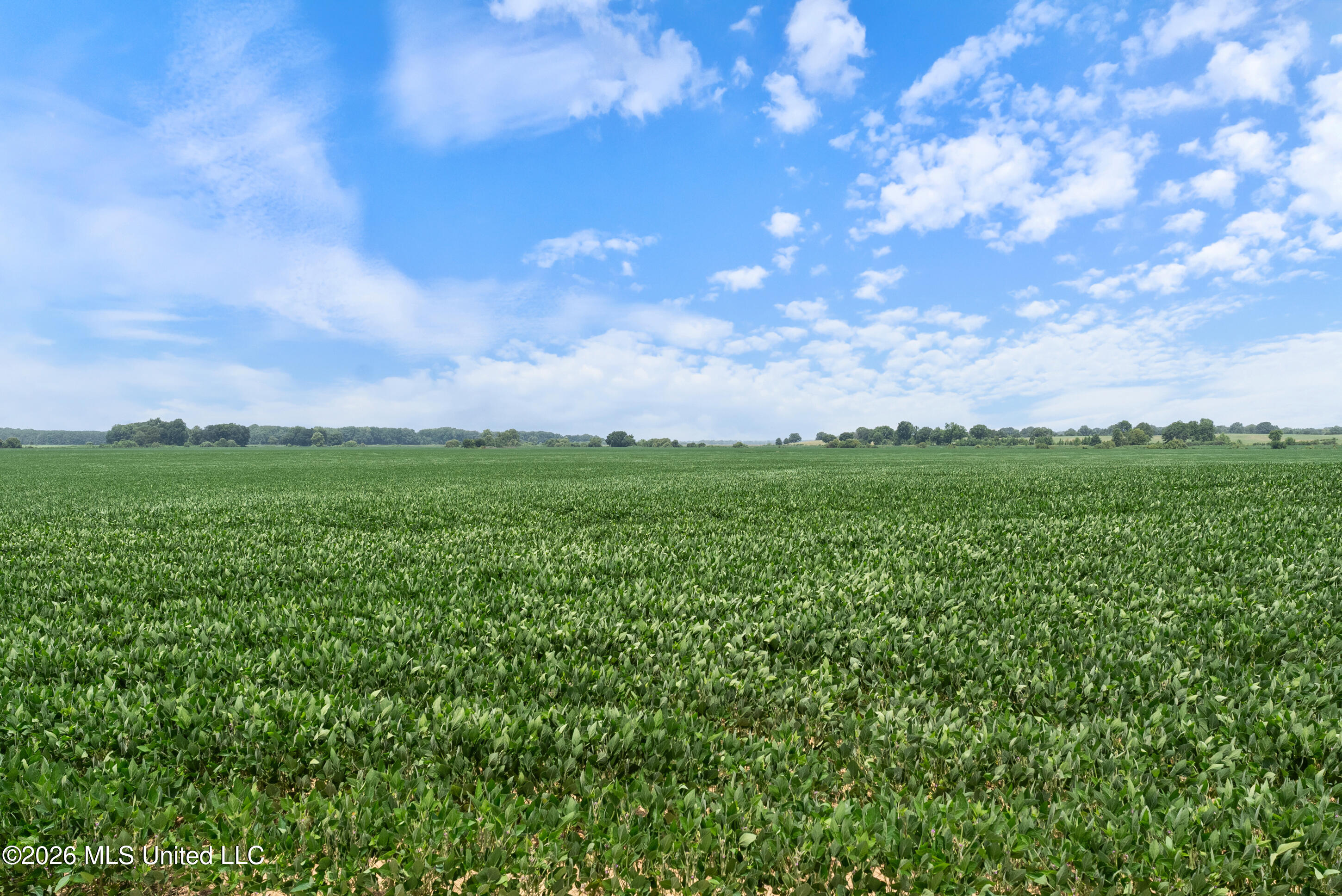 2300 Brownsferry Road Property Photo 68