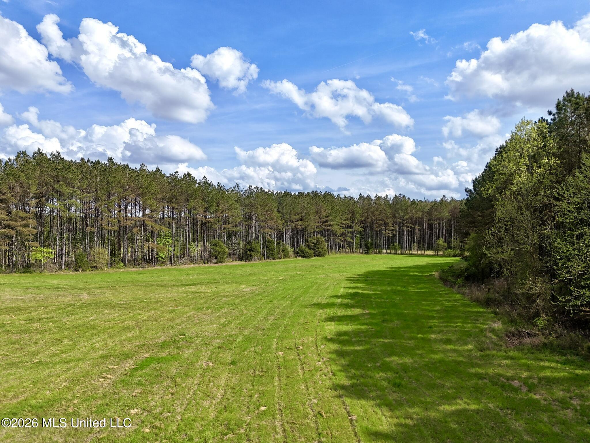 00875 Stump Bridge Road Property Photo 5