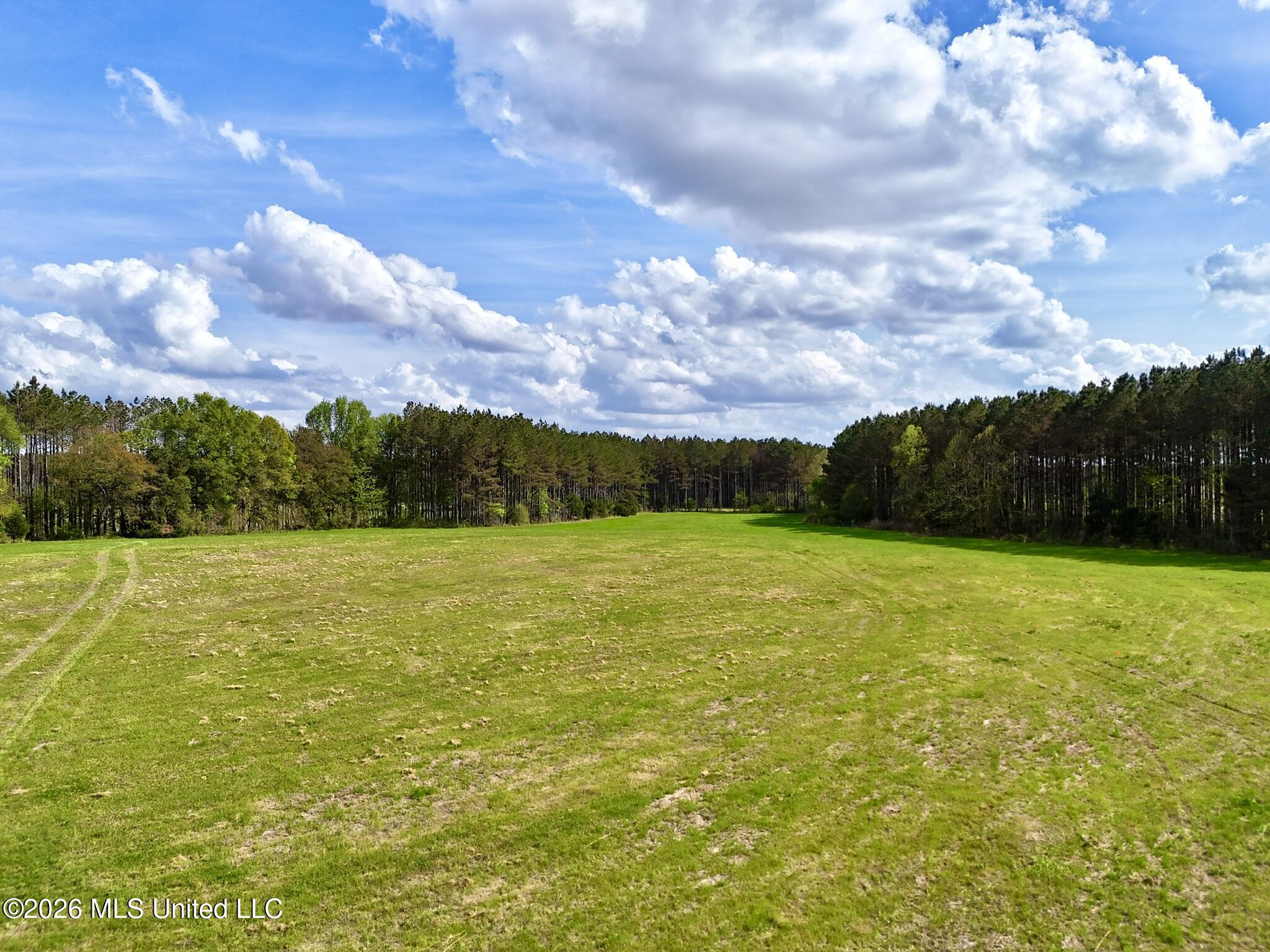 00875 Stump Bridge Road Property Photo 7