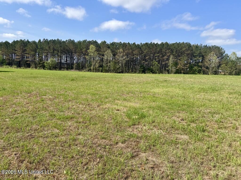 00875 Stump Bridge Road Property Photo 9