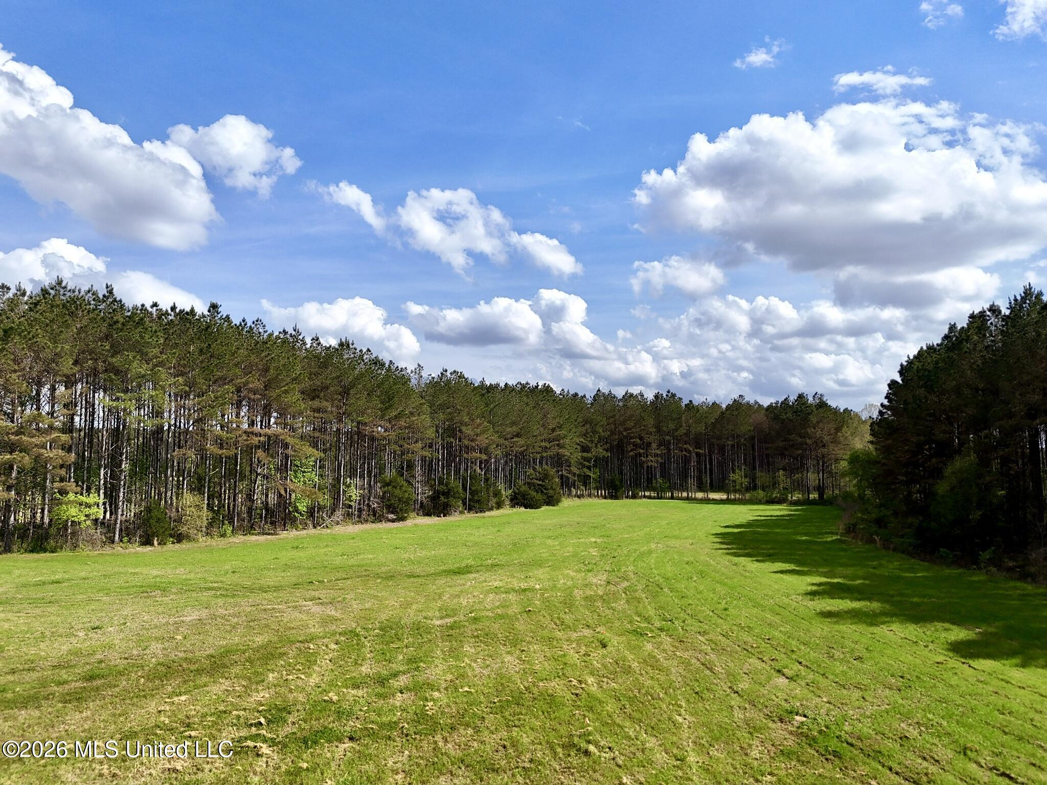 00875 Stump Bridge Road Property Photo 10