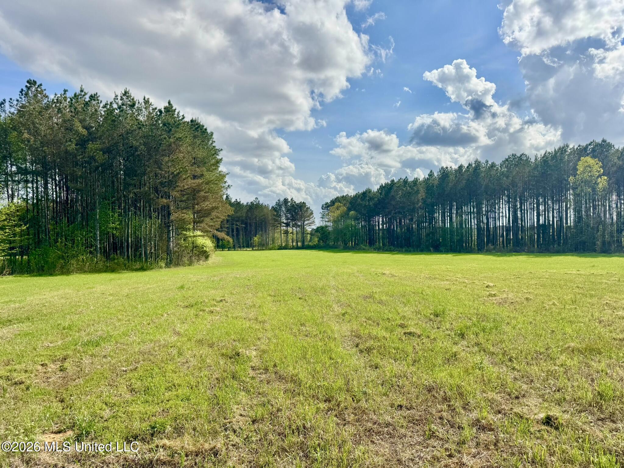 00875 Stump Bridge Road Property Photo 13