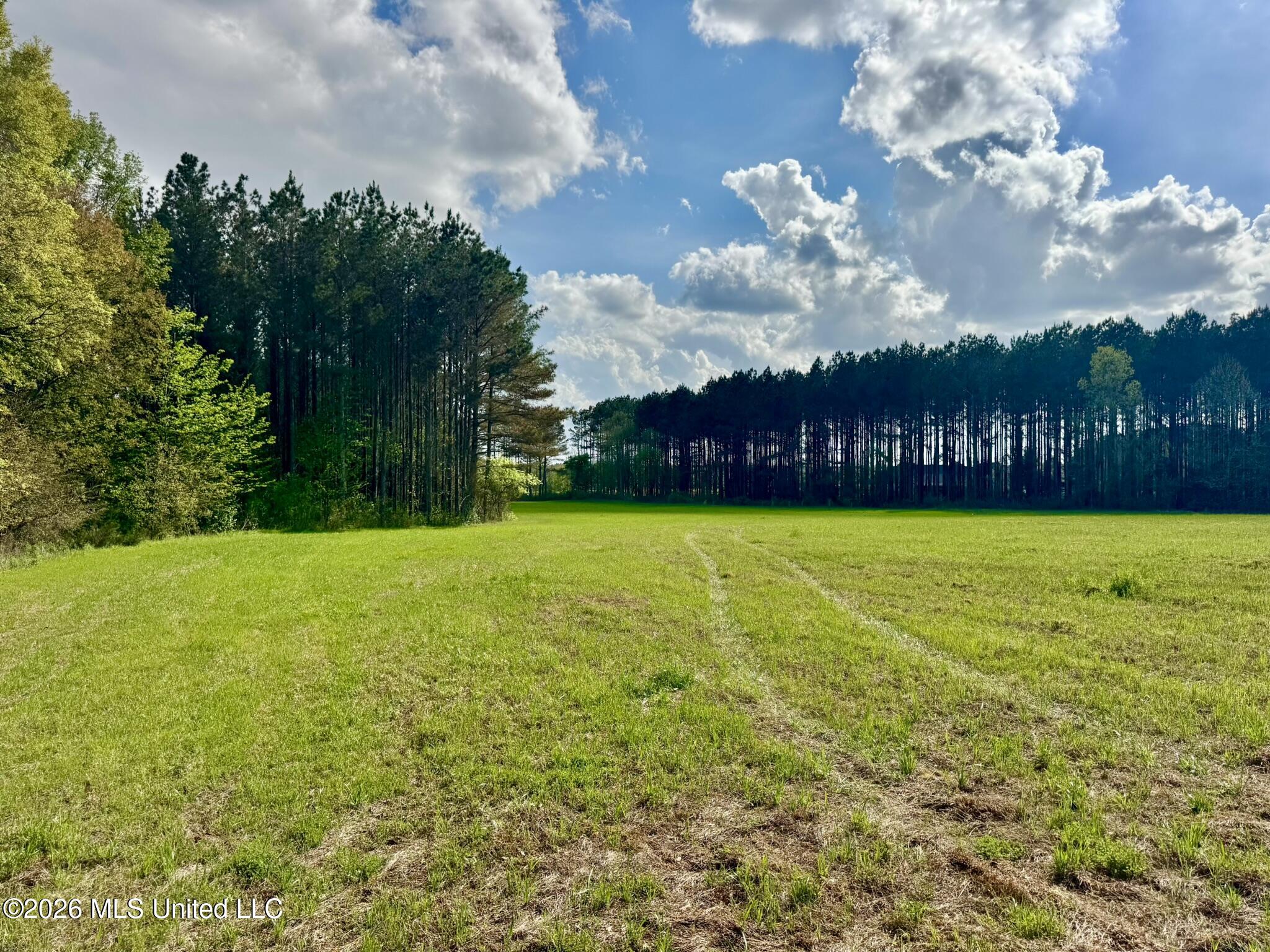 00875 Stump Bridge Road Property Photo 14