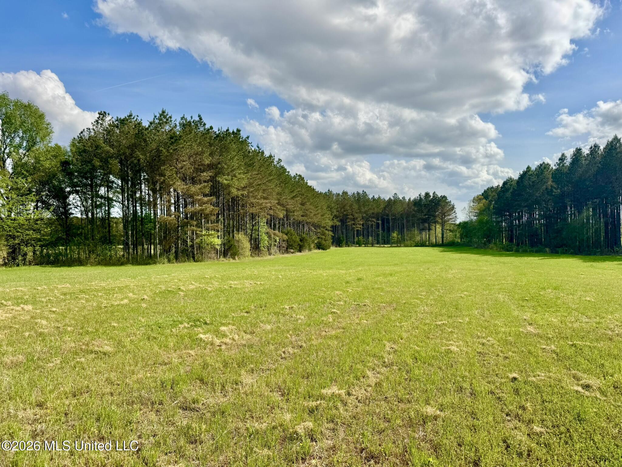 00875 Stump Bridge Road Property Photo 17