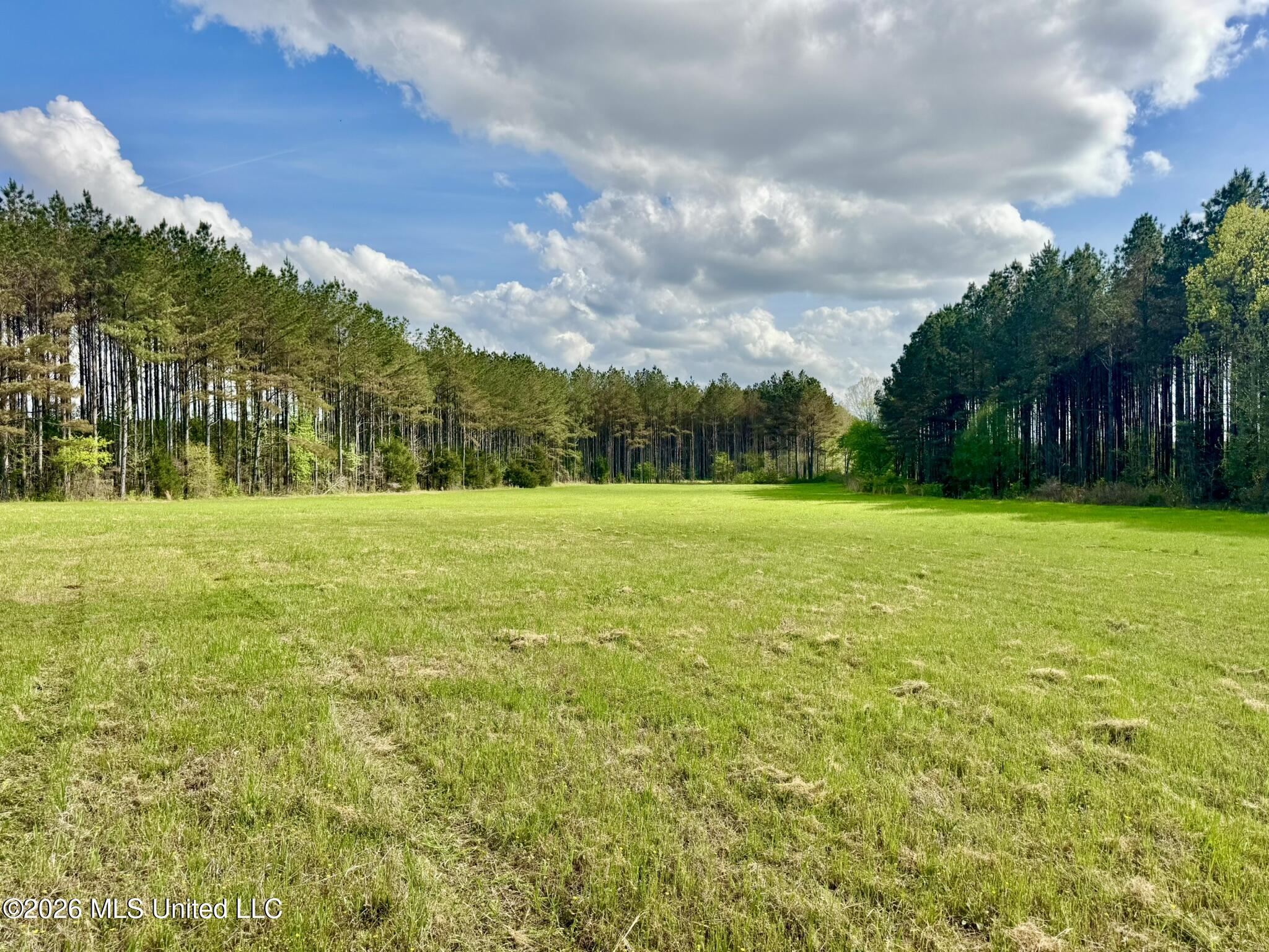 00875 Stump Bridge Road Property Photo 18